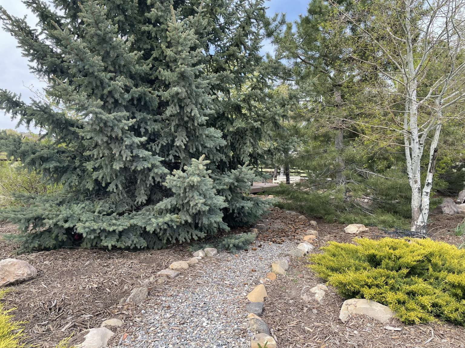 main property photo 7