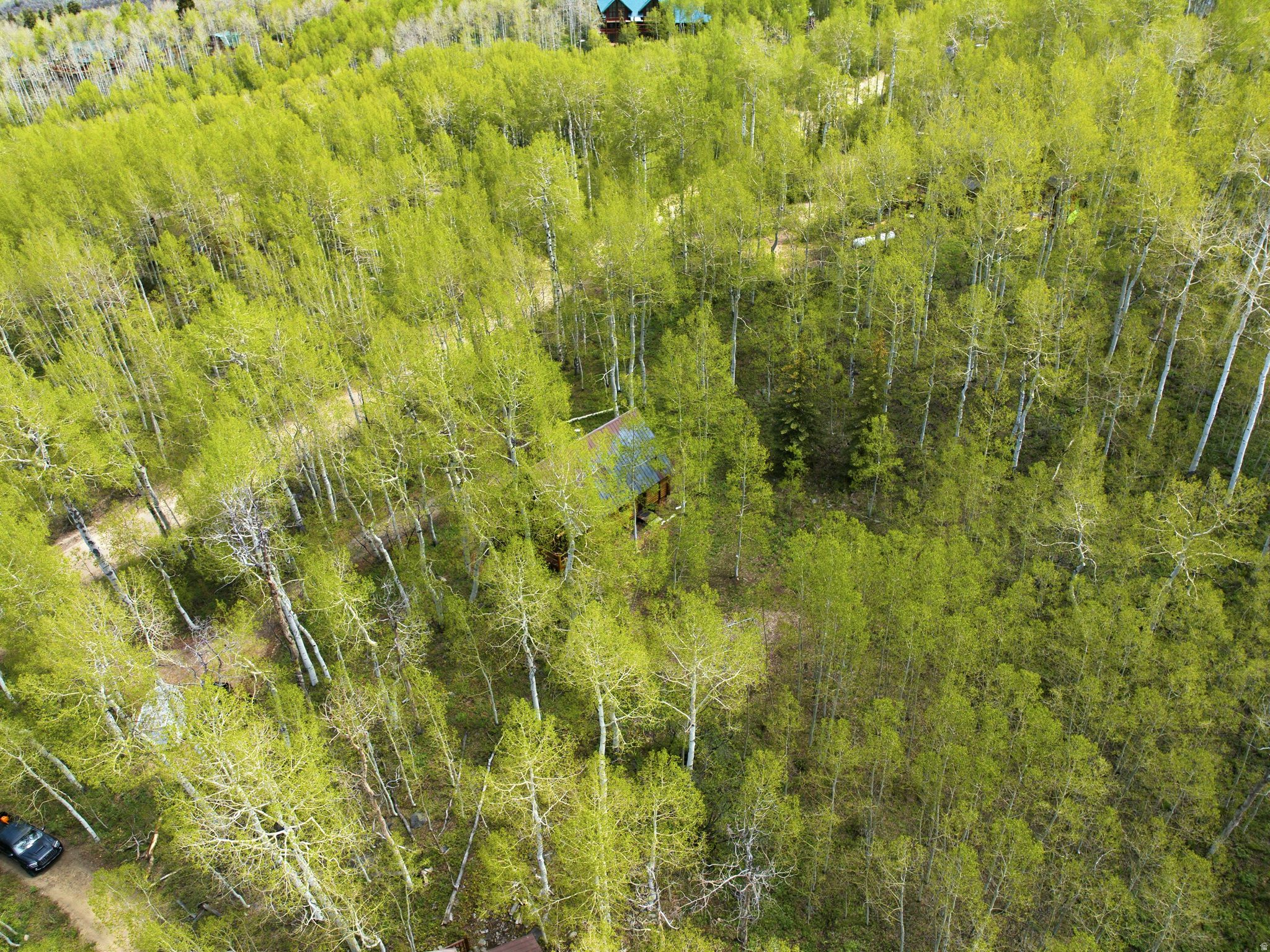 main property photo 56