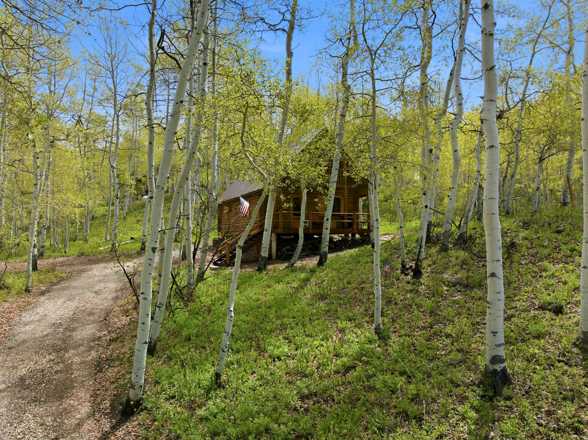 main property photo 59