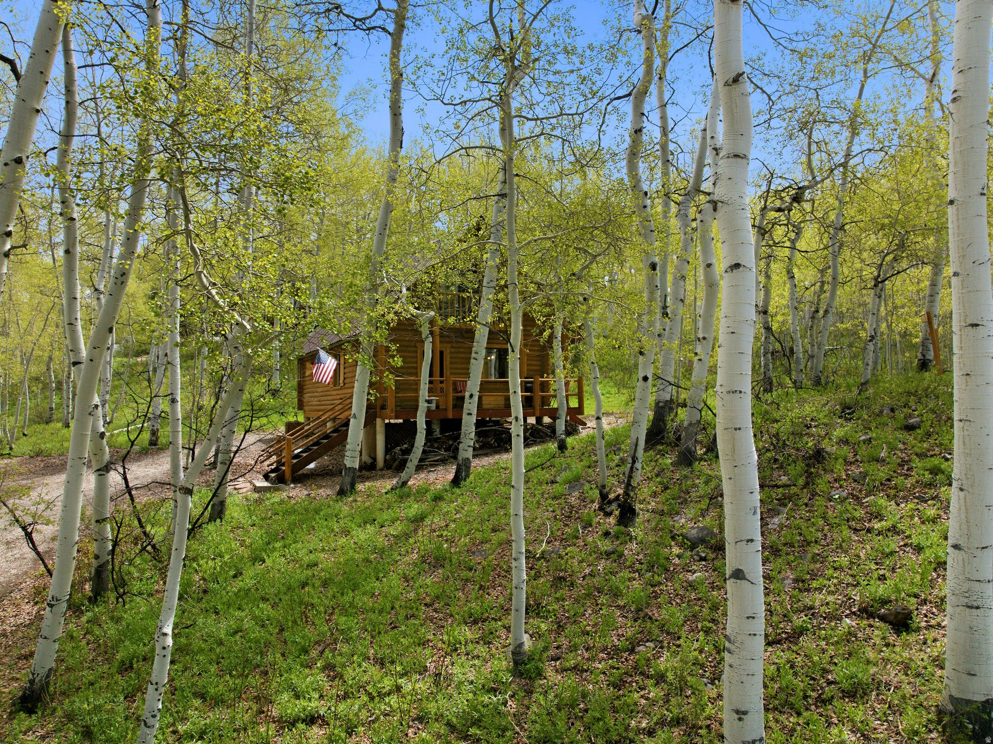 main property photo 60