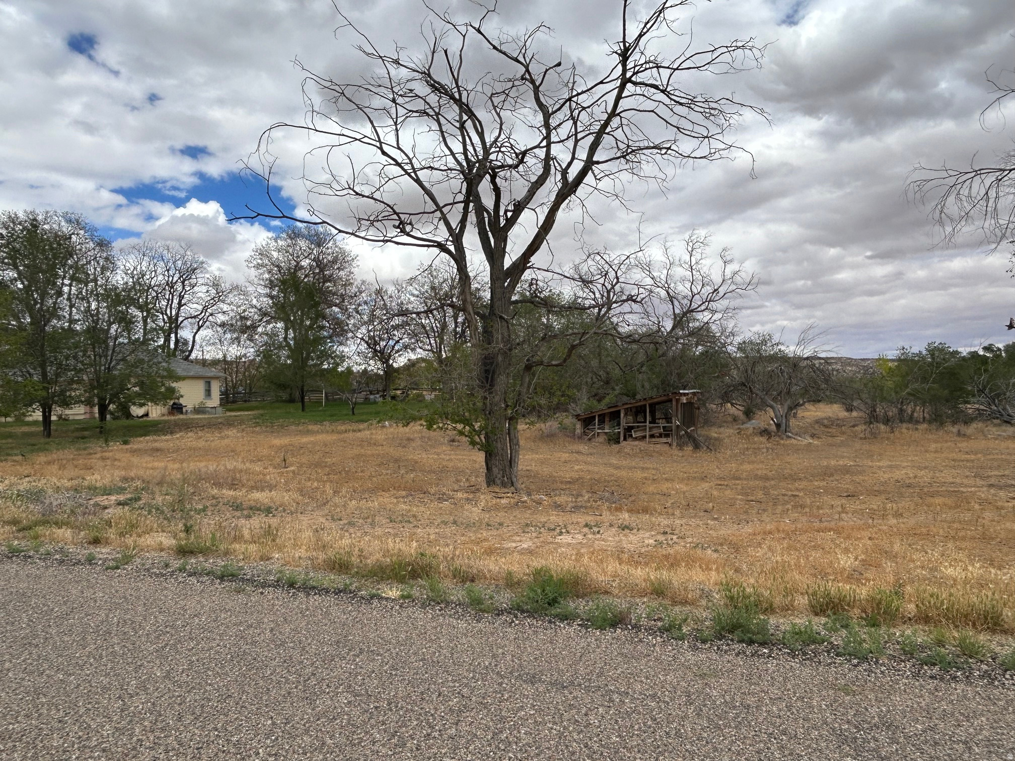 main property photo 22