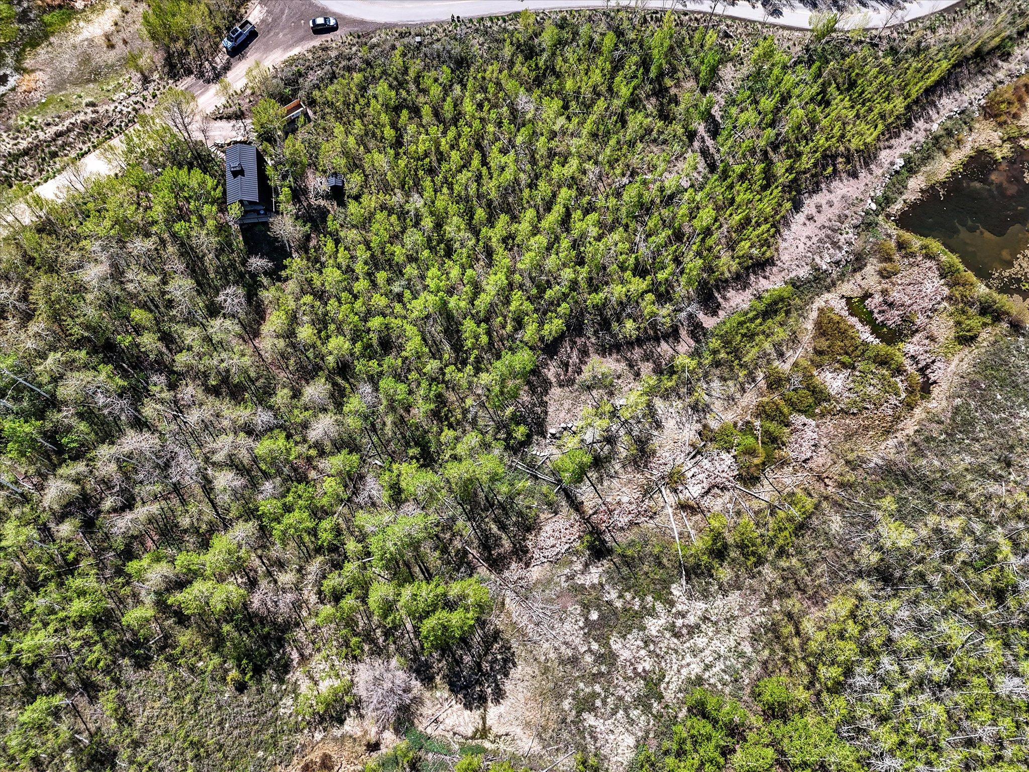 main property photo 9