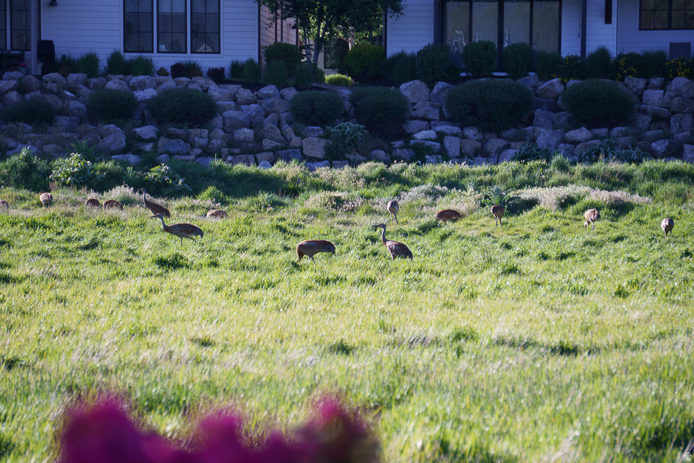 main property photo 56