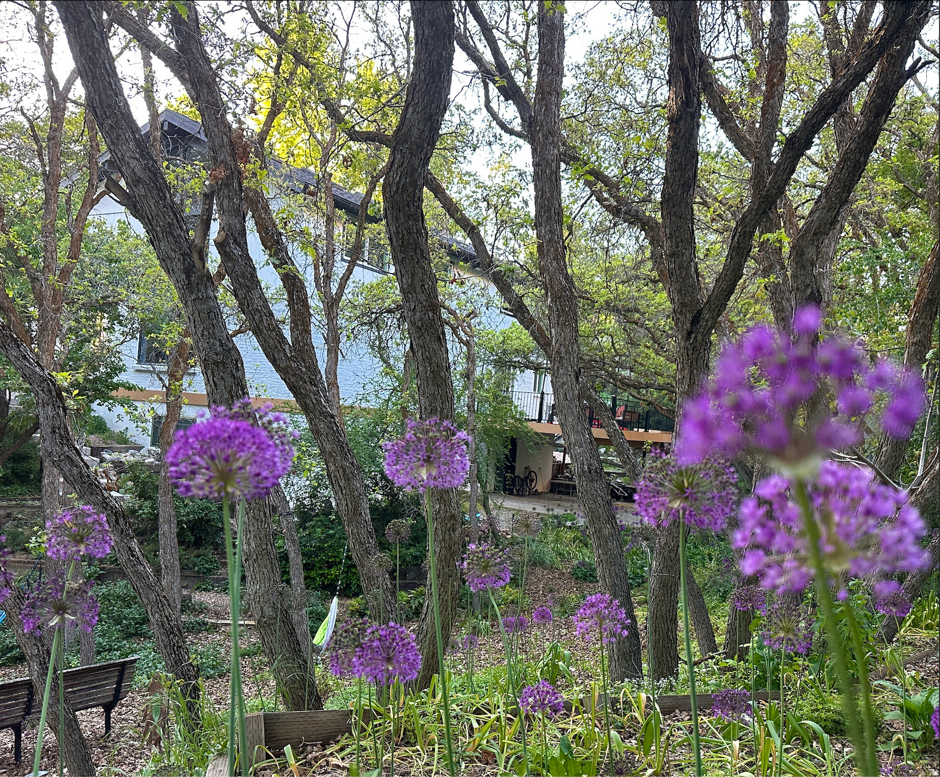main property photo 46