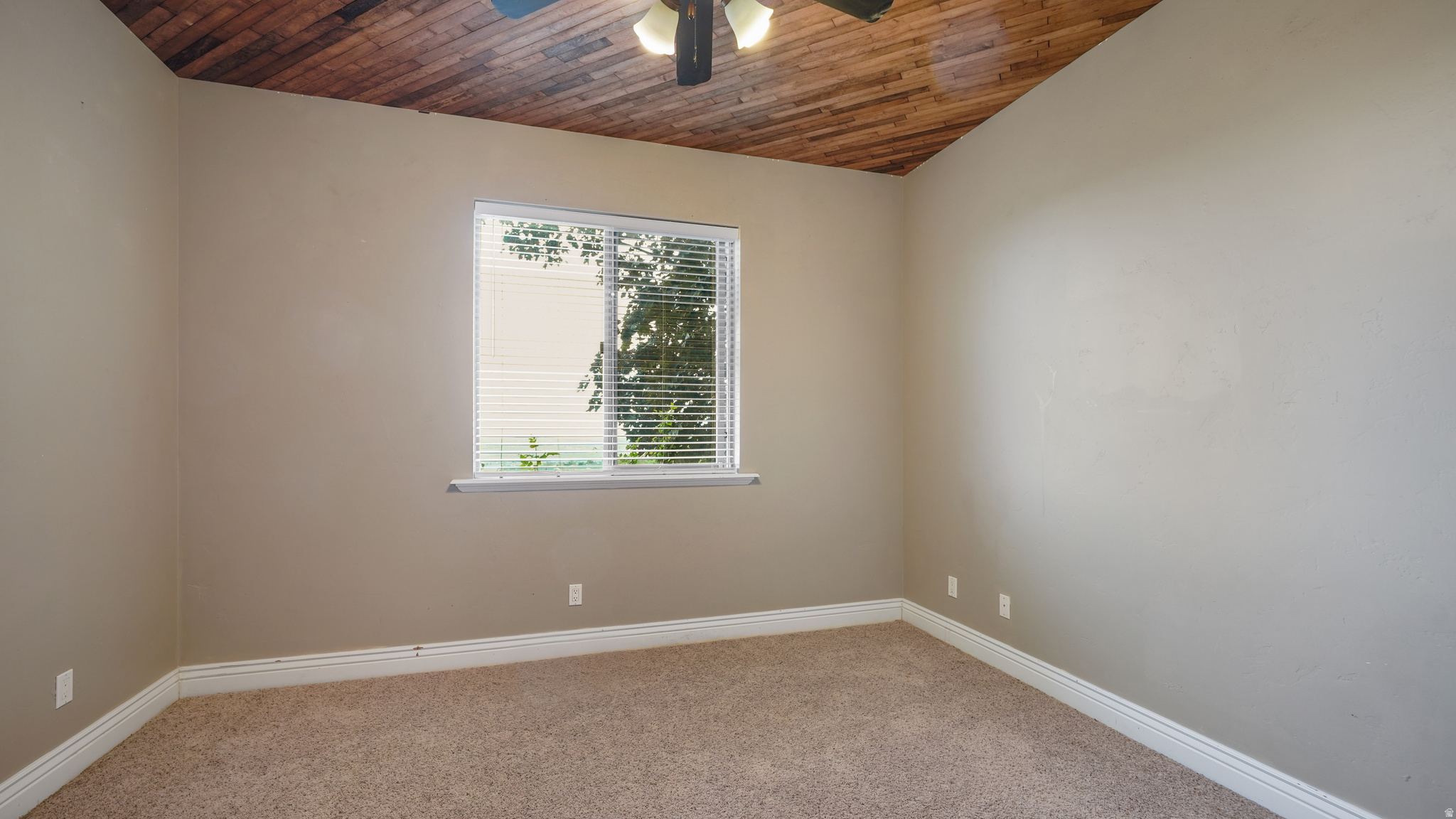 main property photo 95