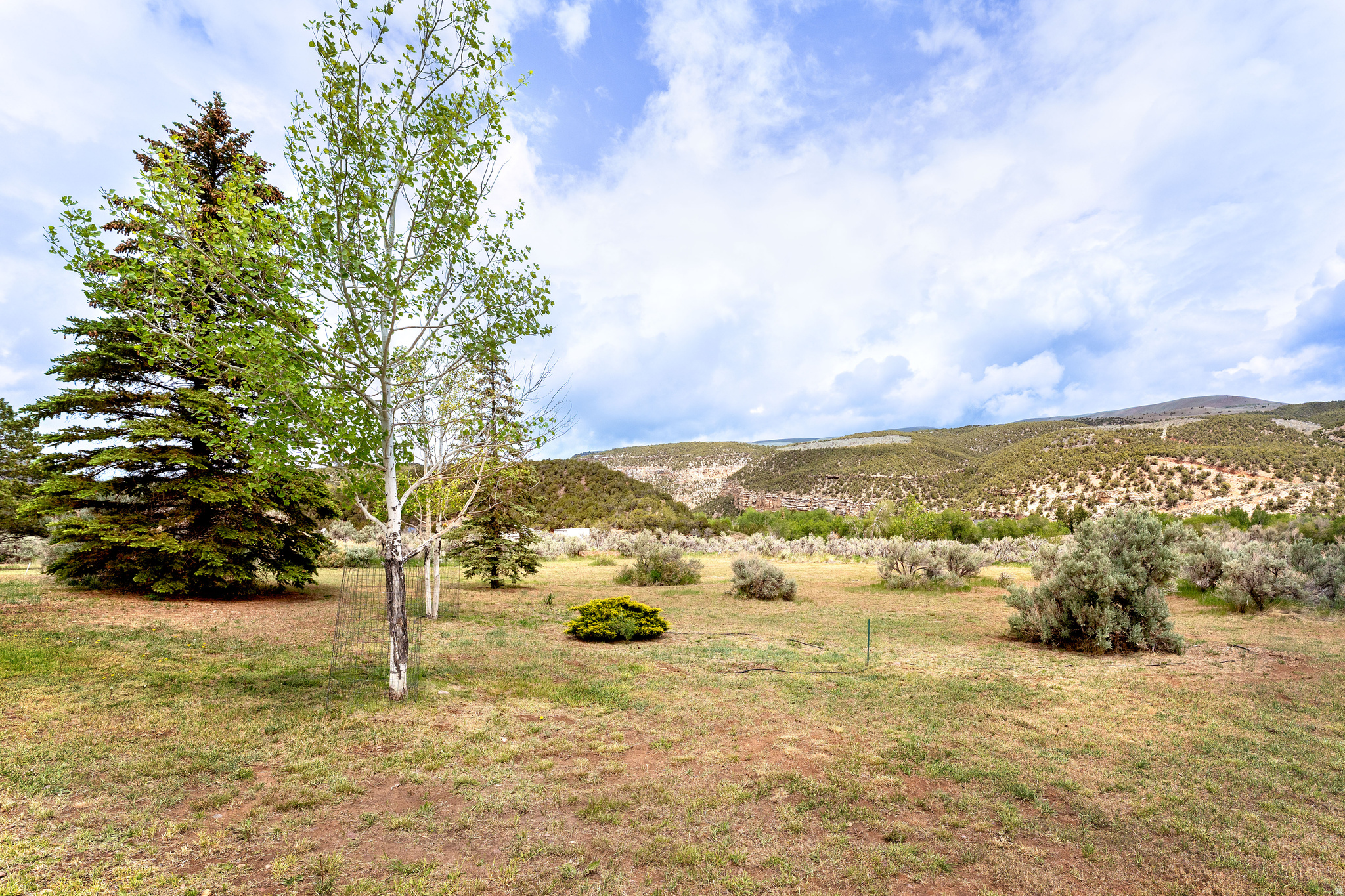 main property photo 59