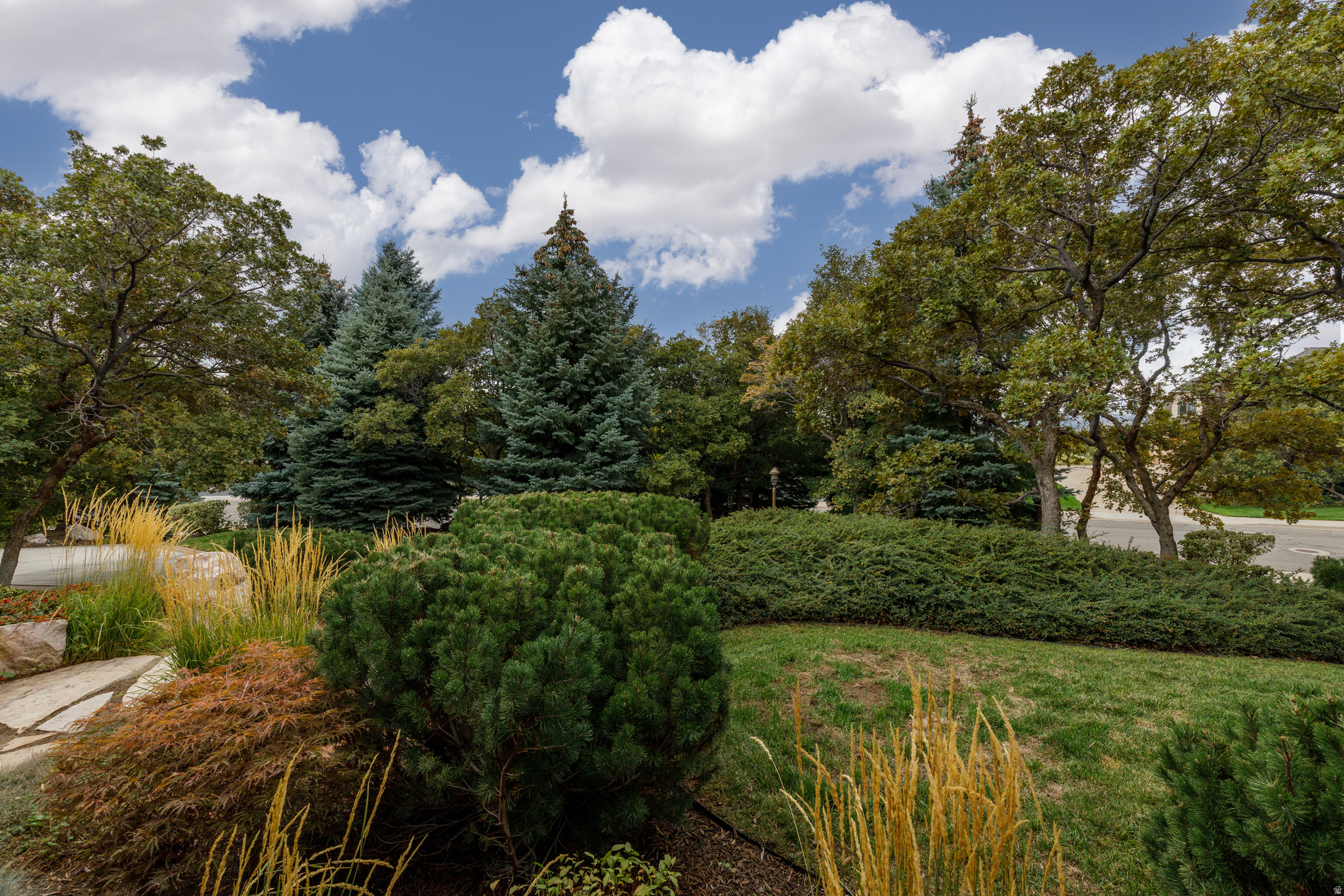 main property photo 88
