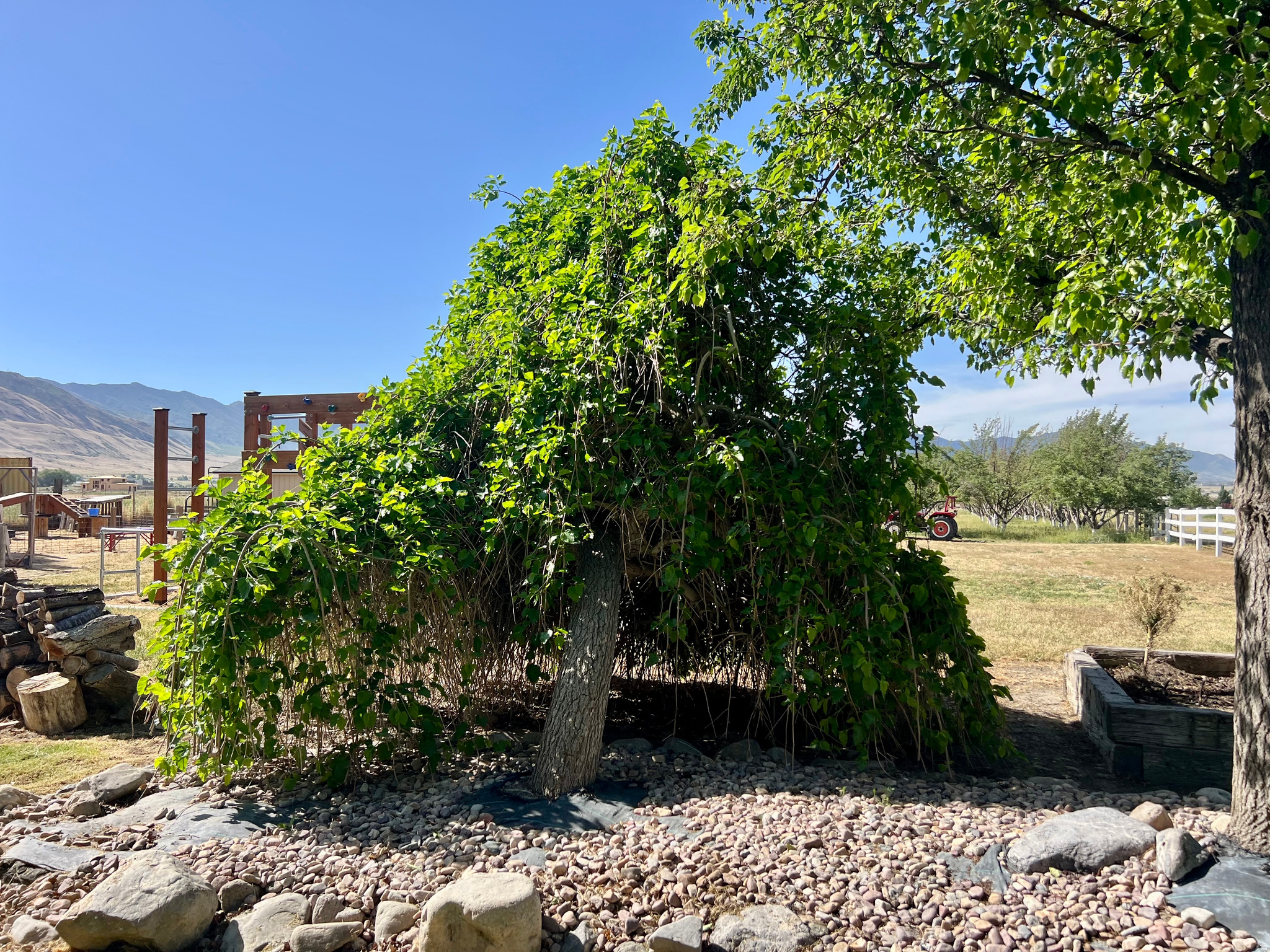 main property photo 106