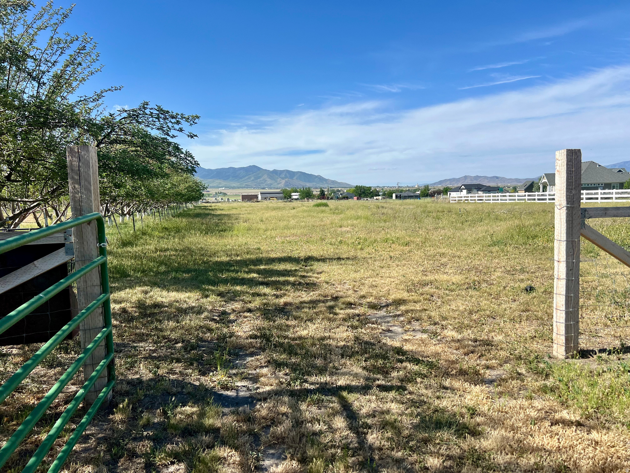 main property photo 111