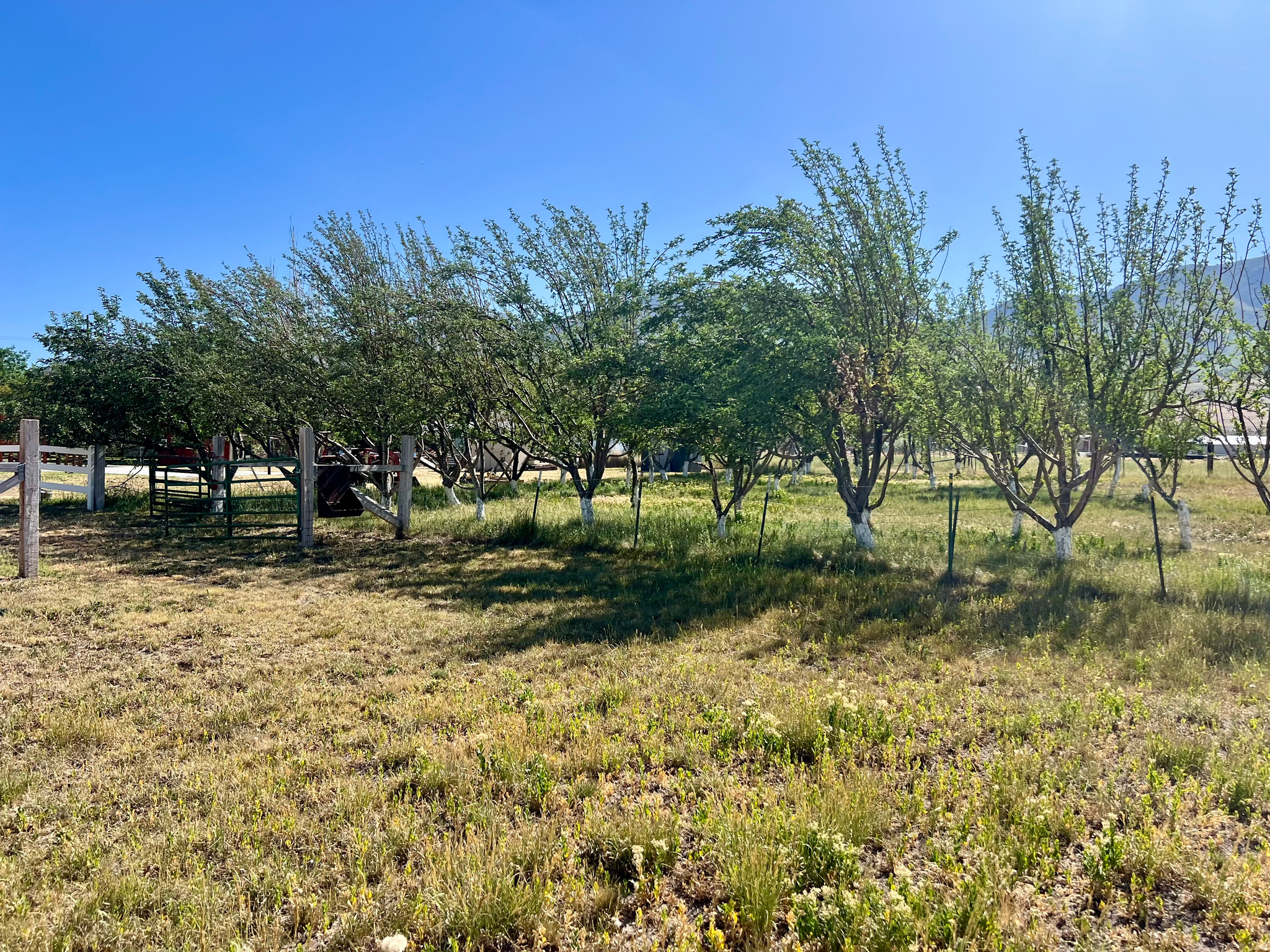 main property photo 113