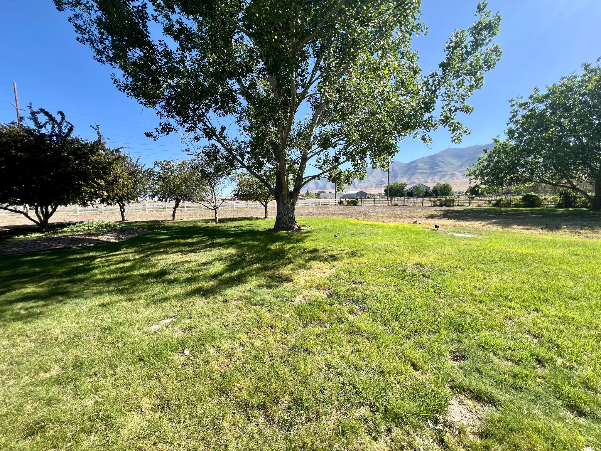 main property photo 126