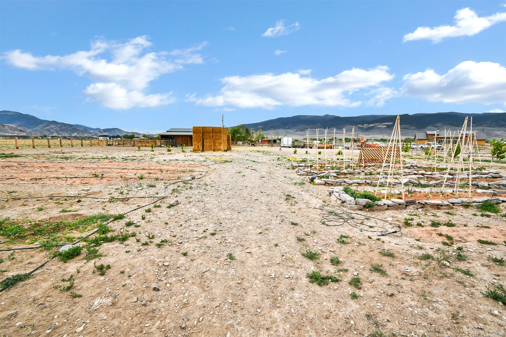 main property photo 53