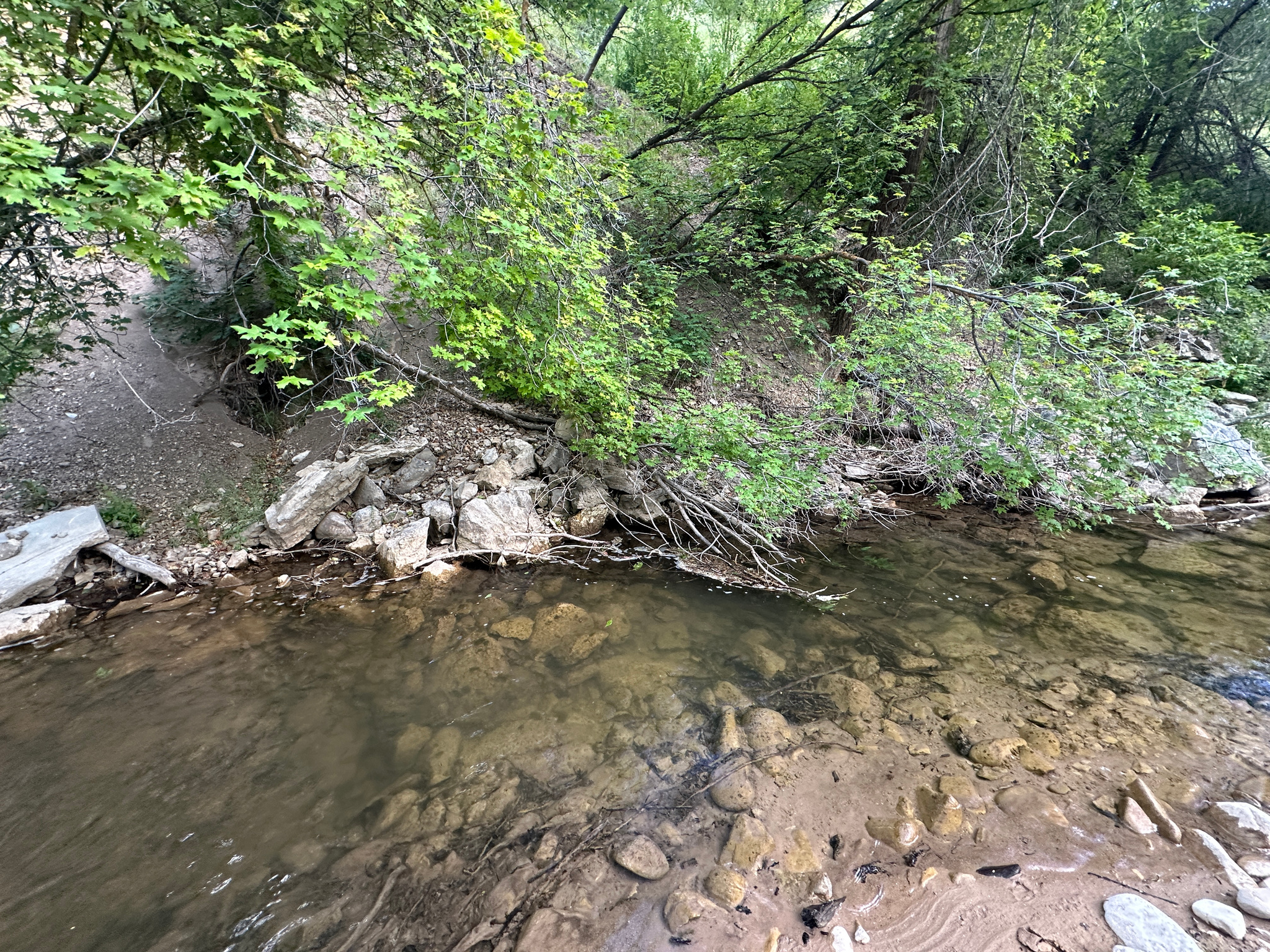 main property photo 139