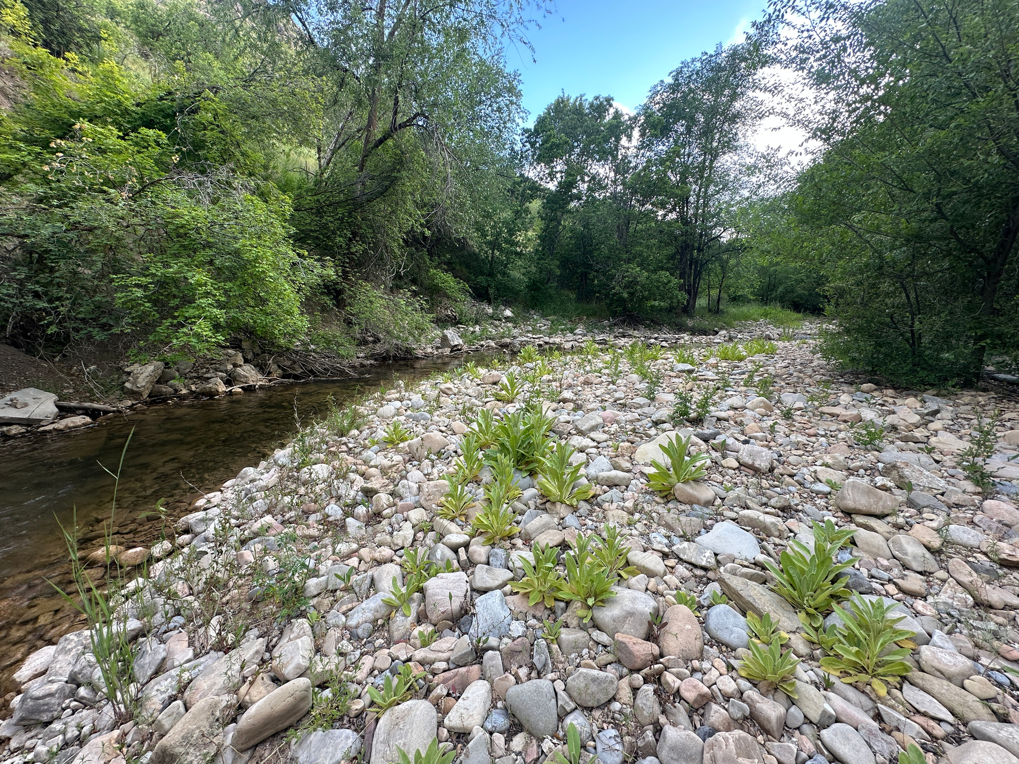 main property photo 144