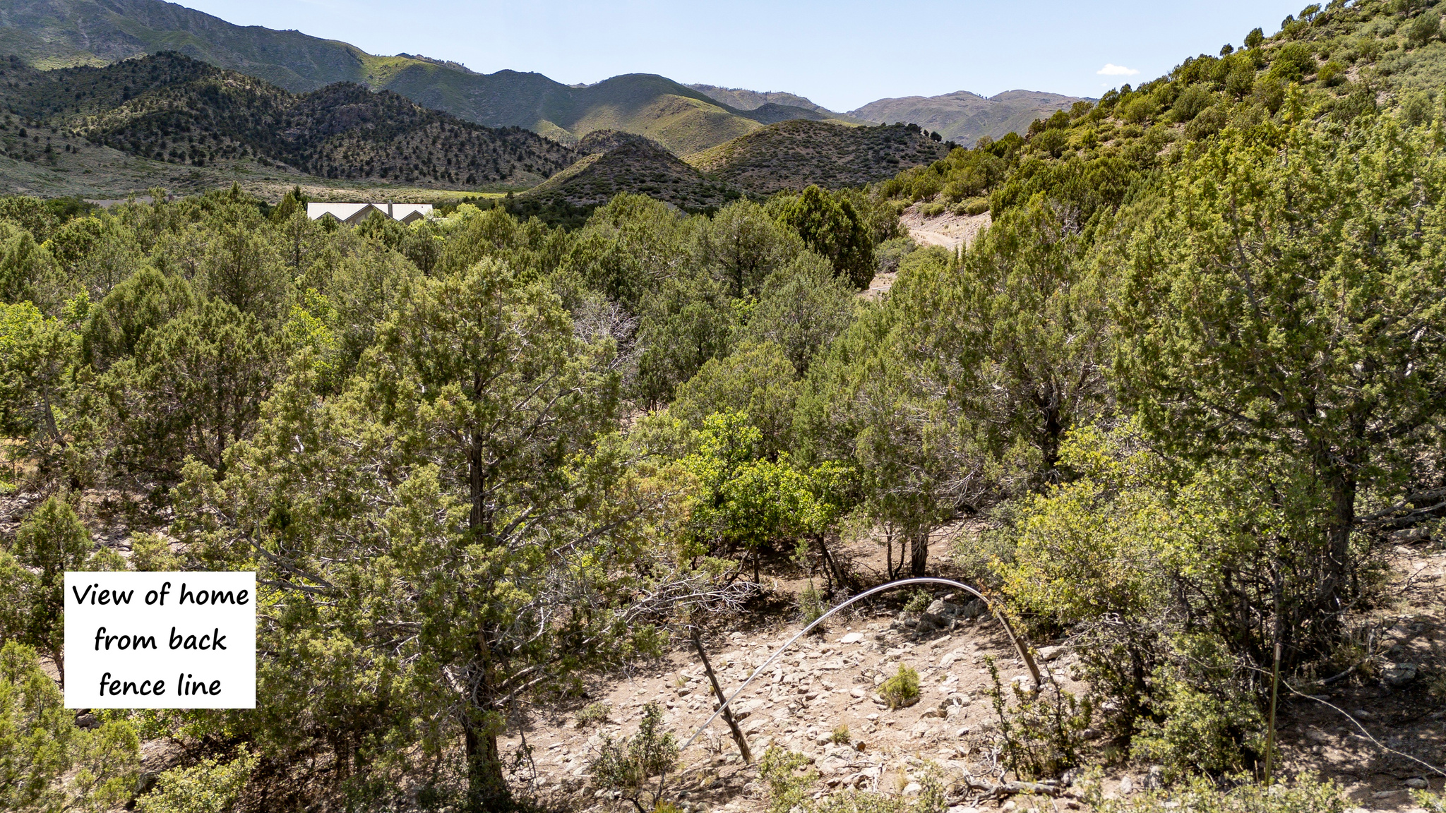 main property photo 94