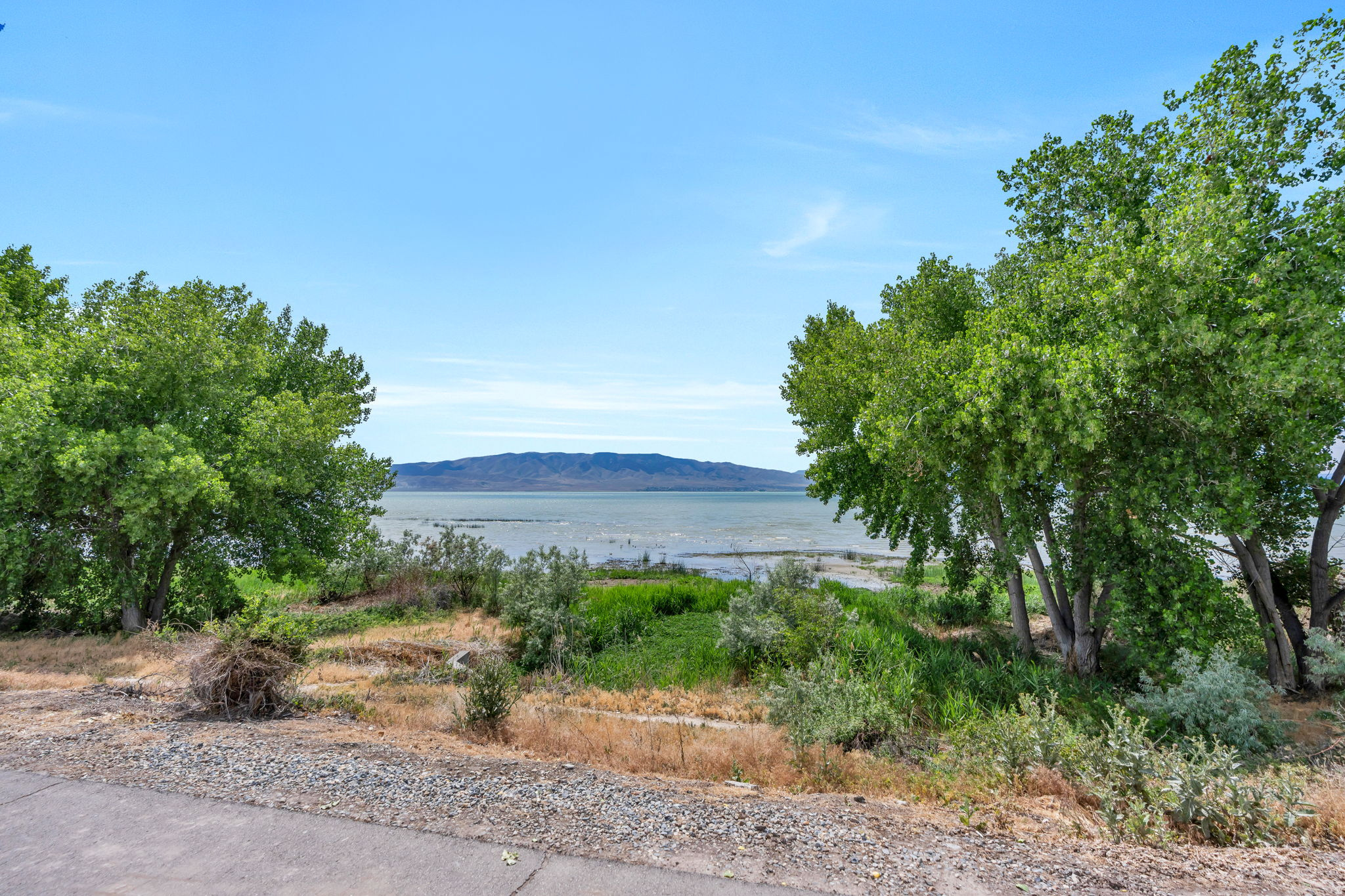 main property photo 63