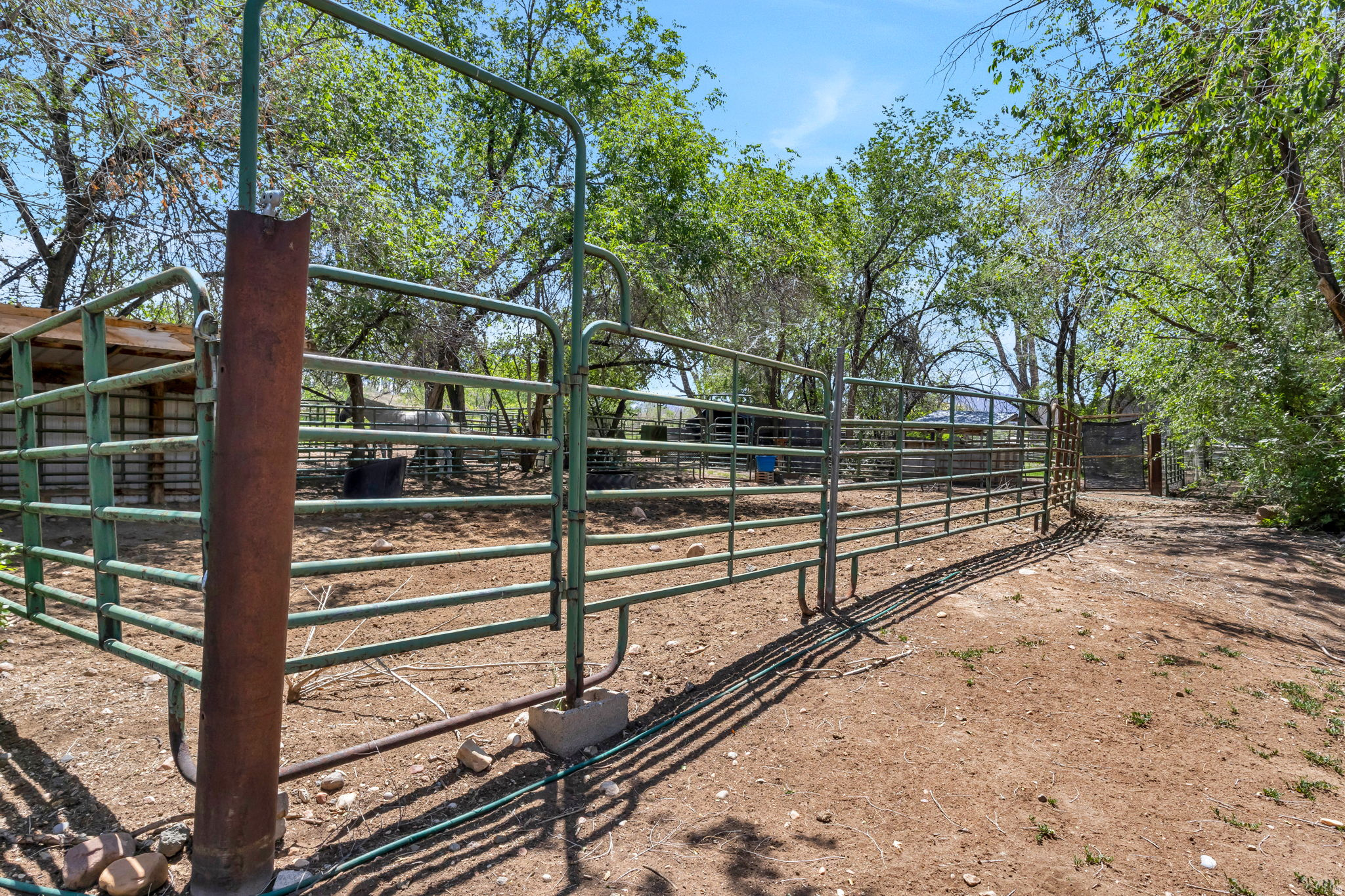 main property photo 53