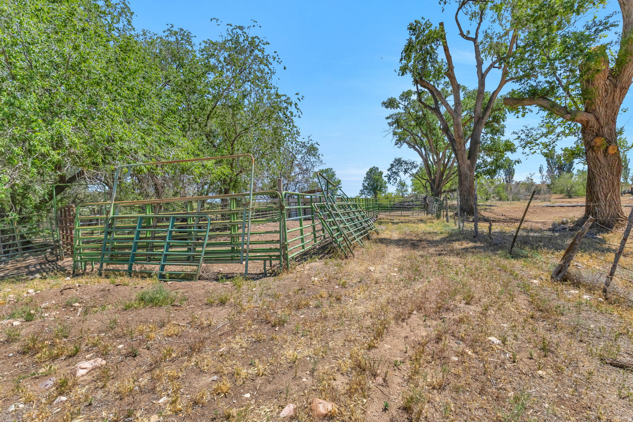 main property photo 61