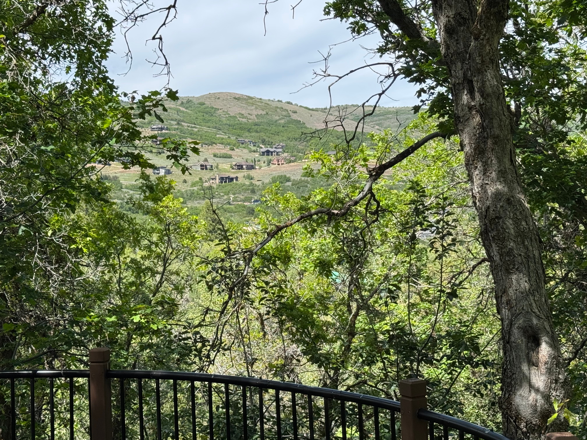 main property photo 40