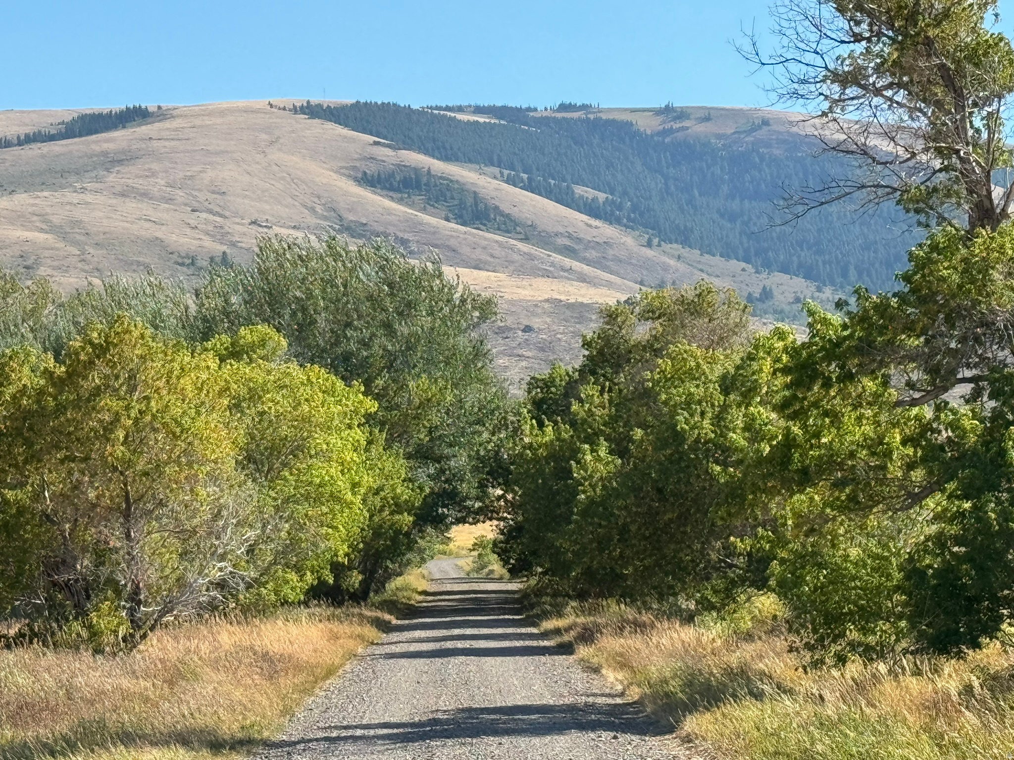 main property photo 34