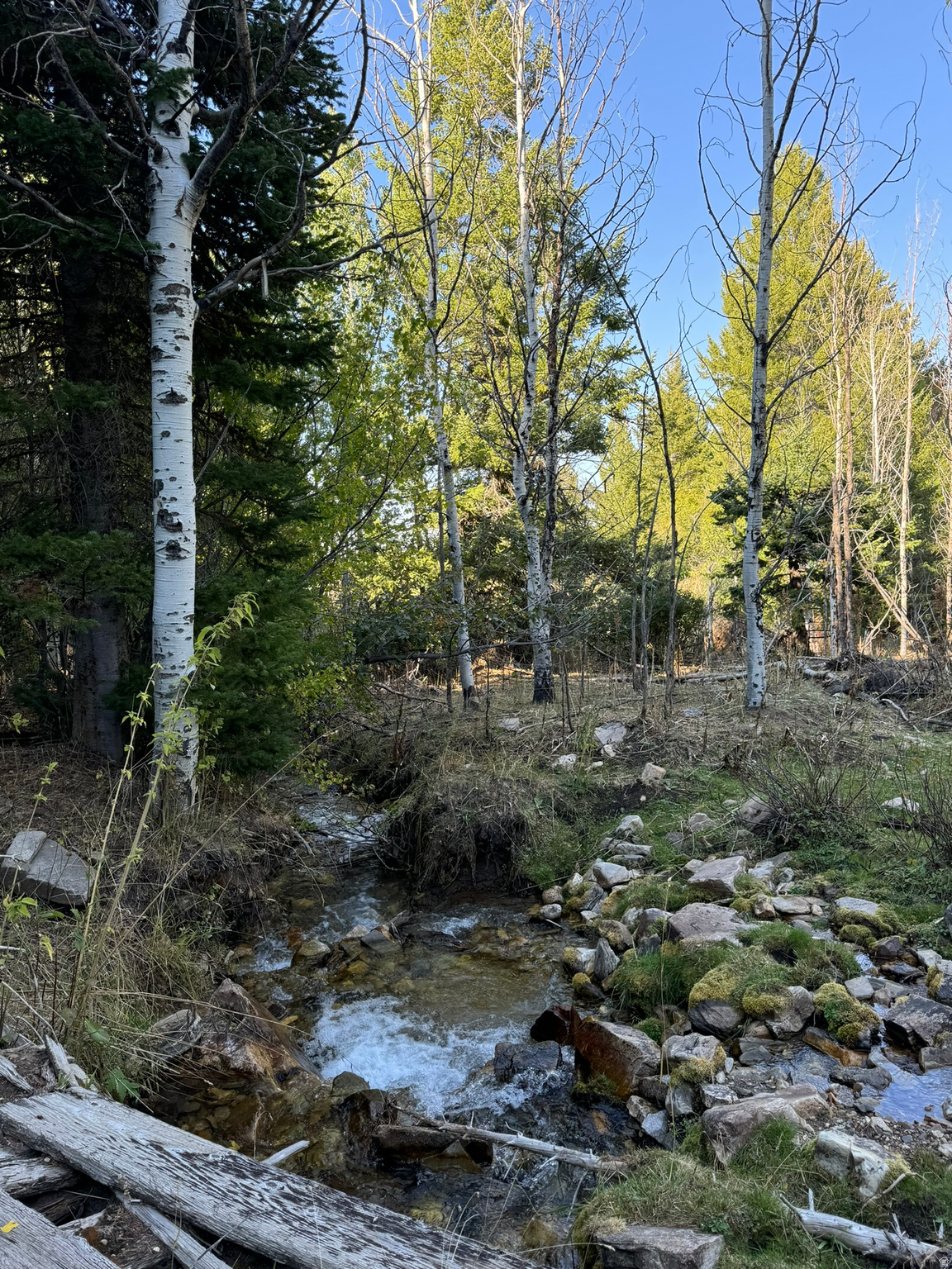 main property photo 39