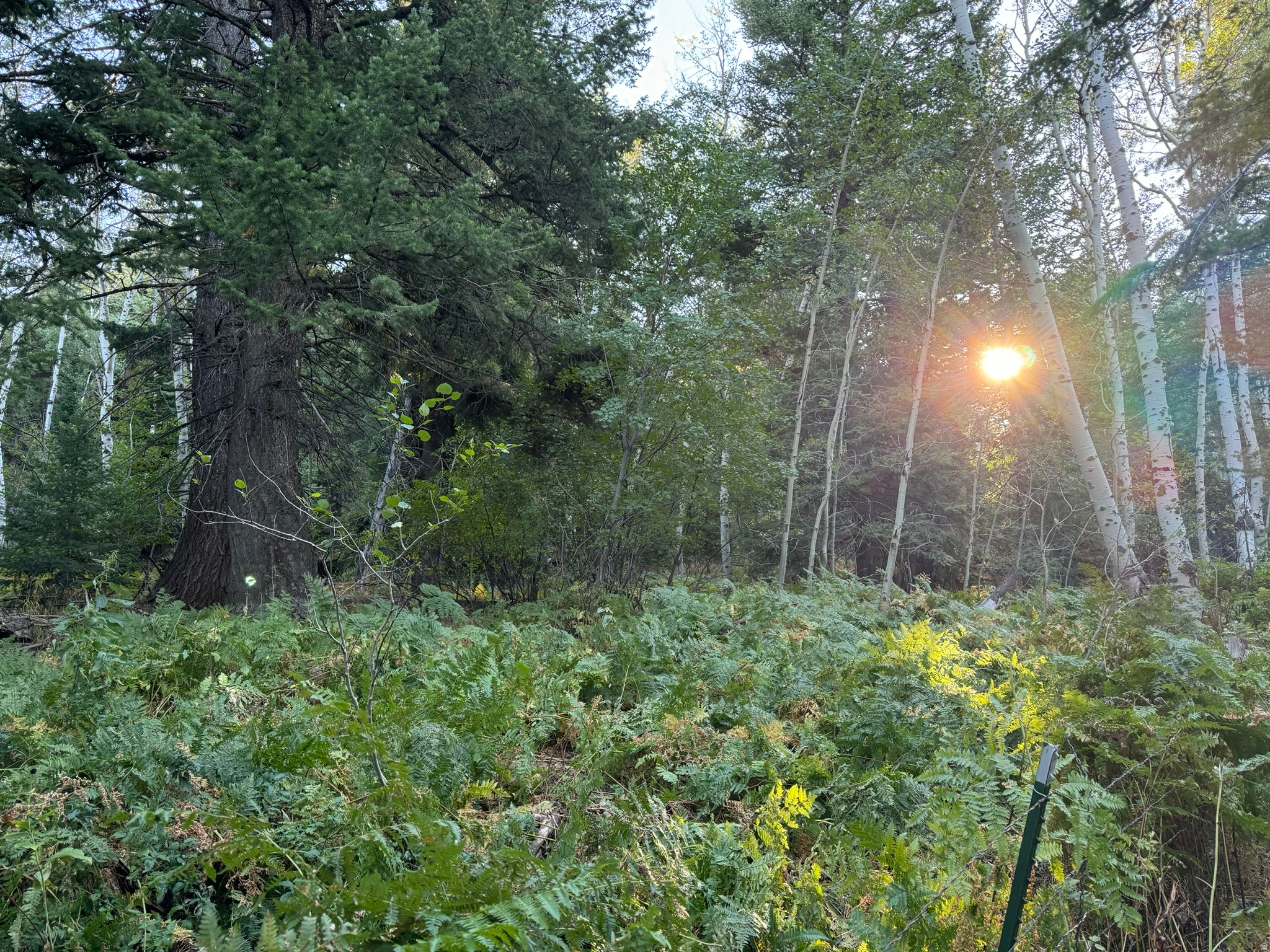 main property photo 42
