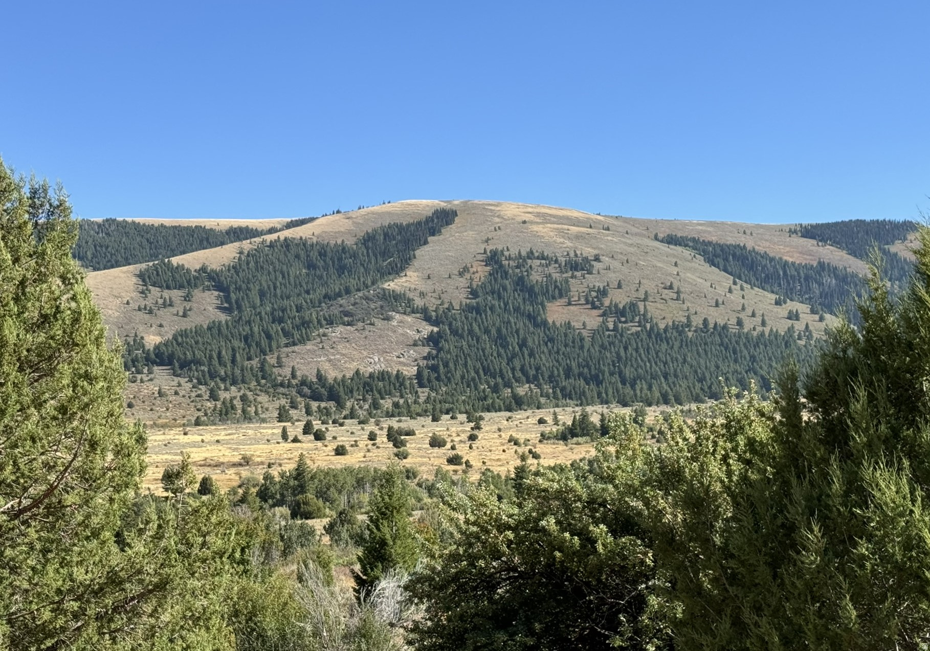 main property photo 46