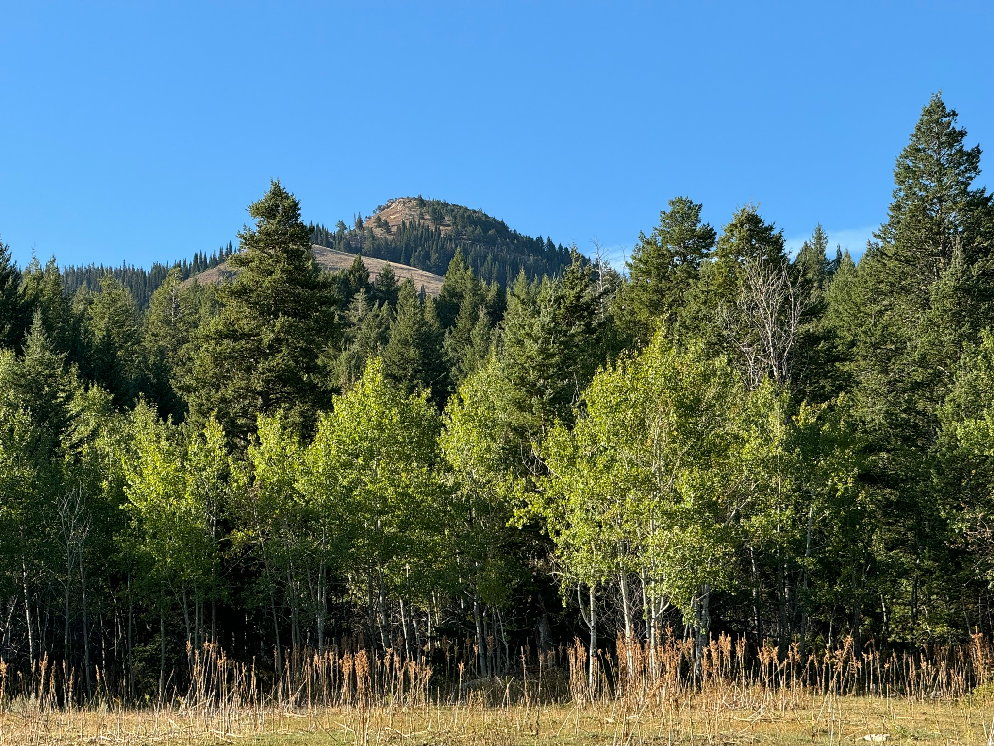 main property photo 47