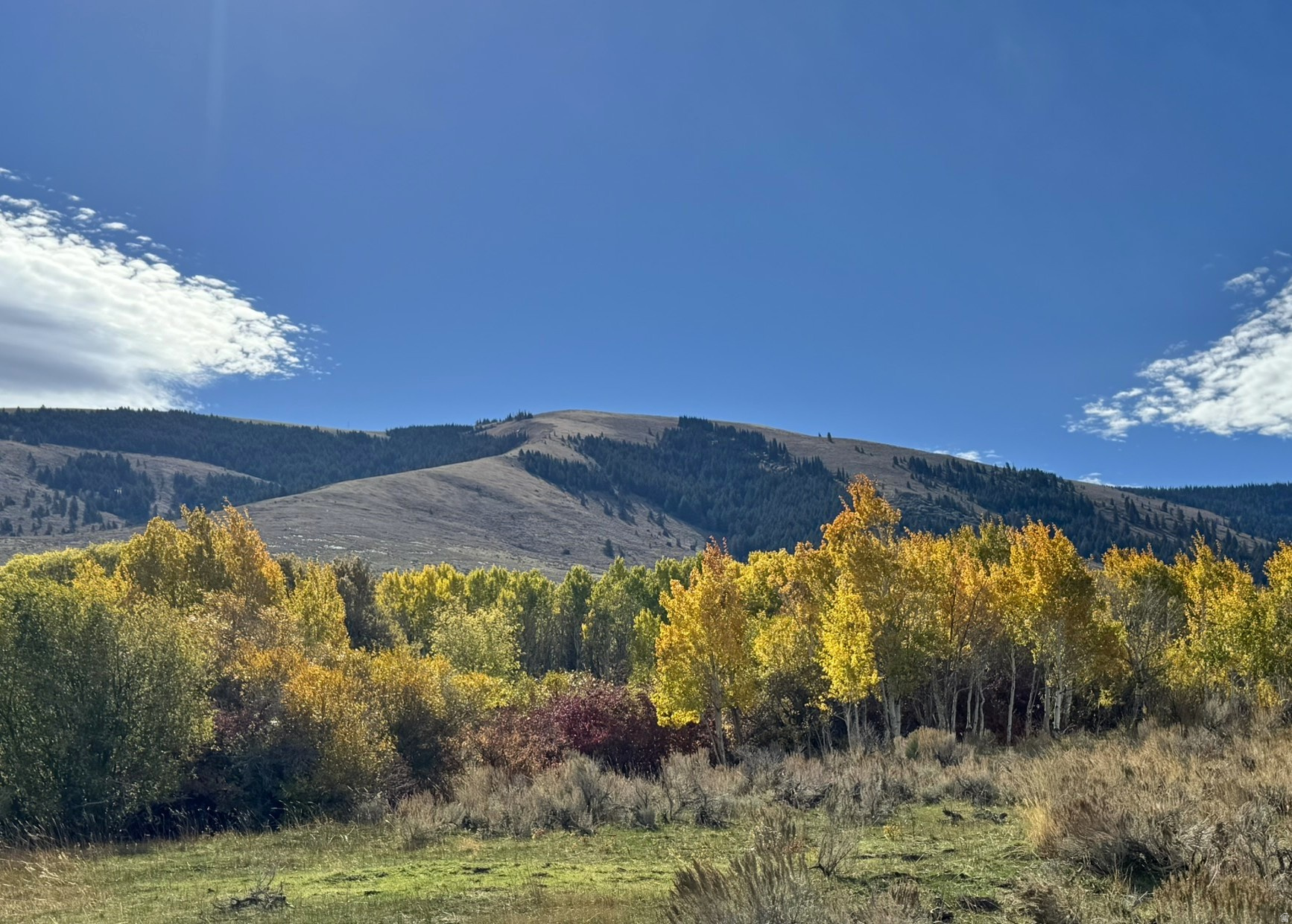 main property photo 53