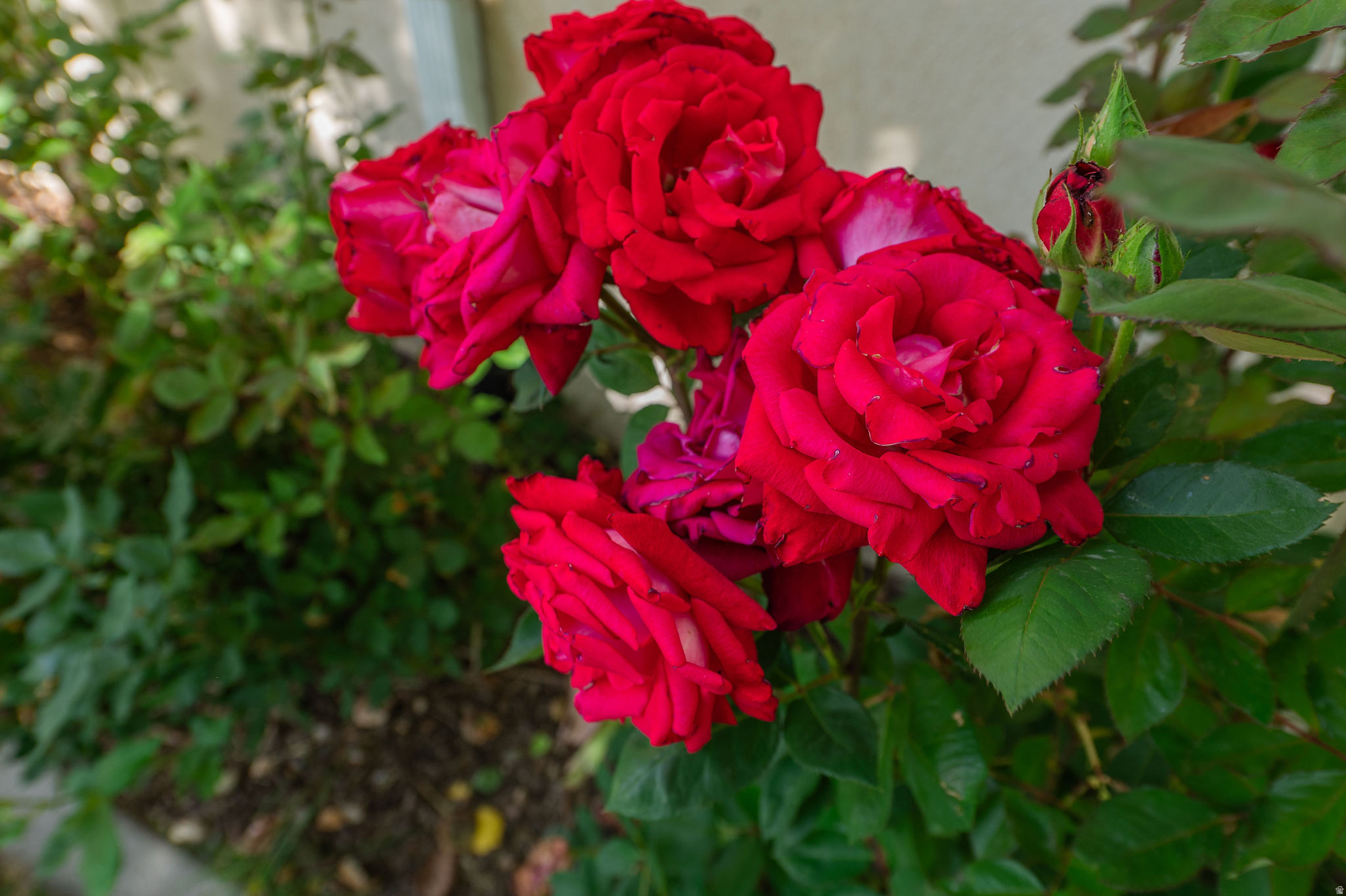 main property photo 54