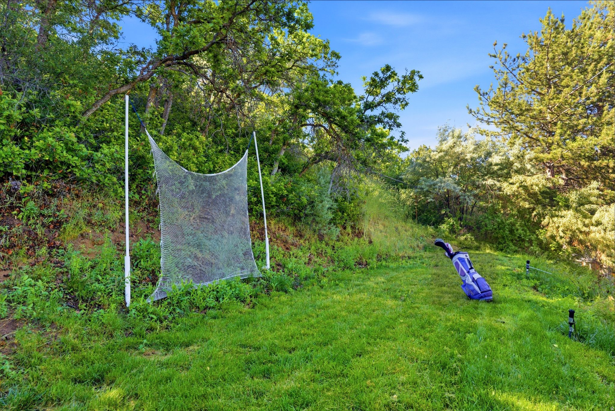 main property photo 45