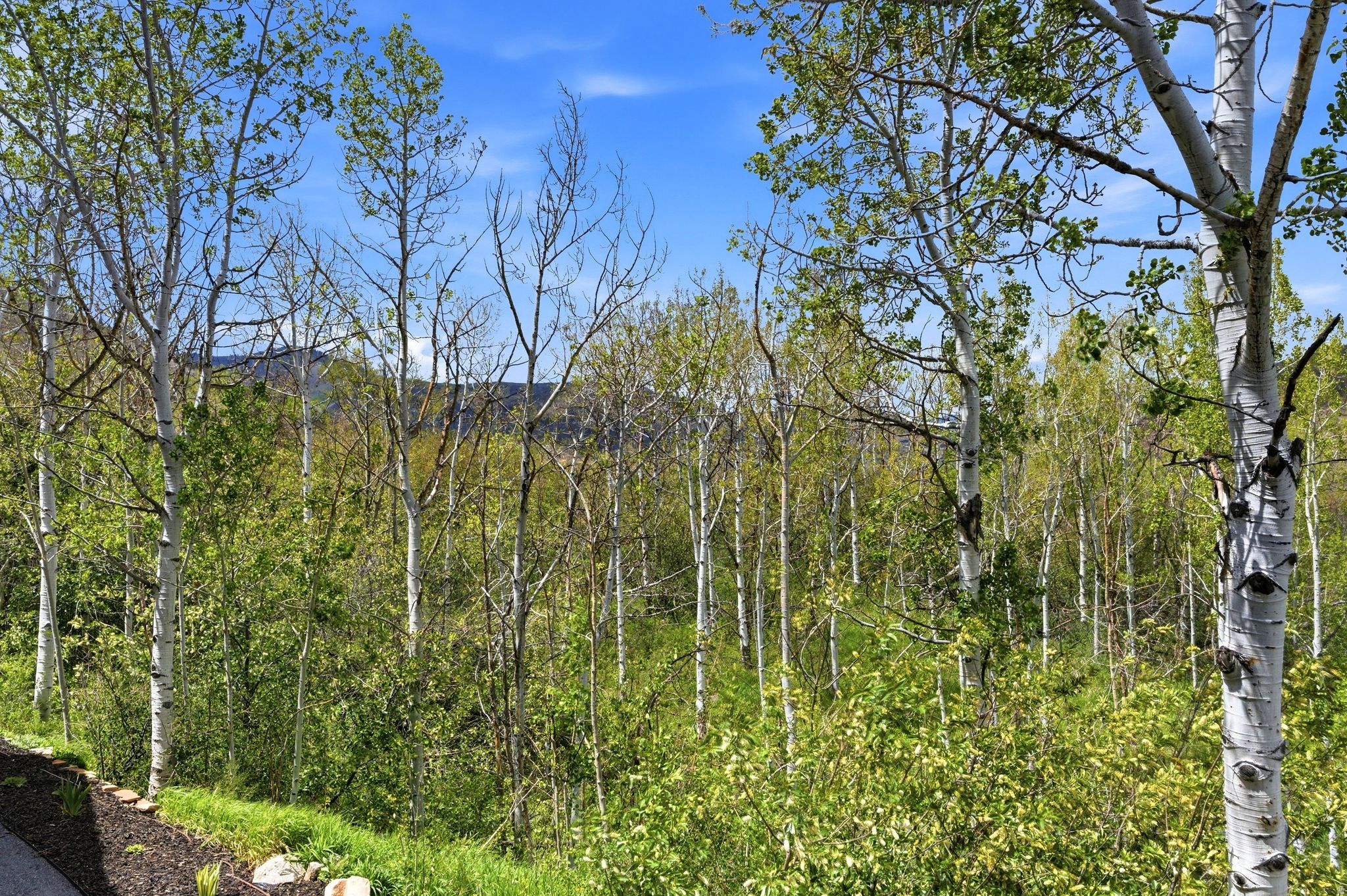 main property photo 76