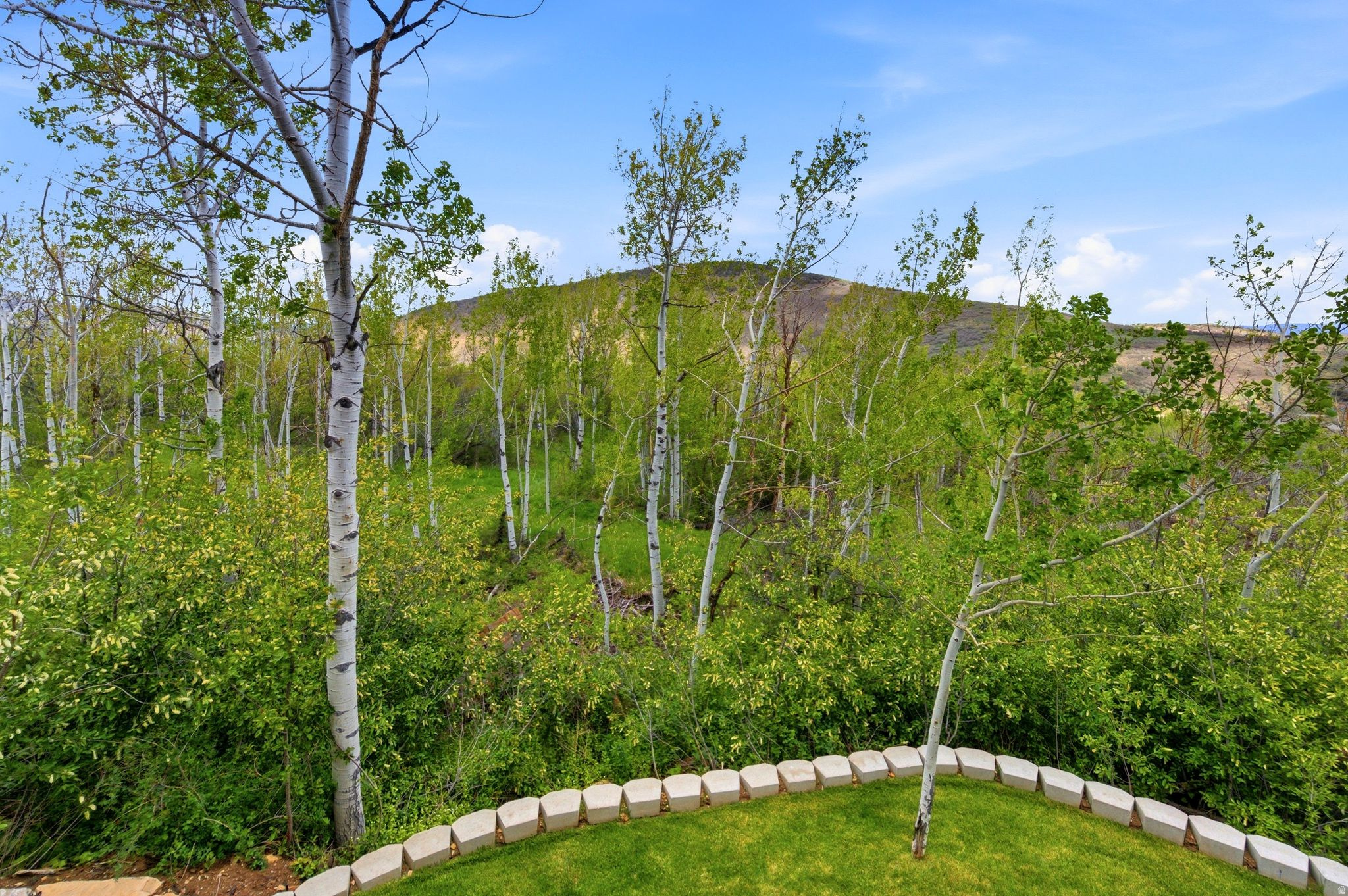 main property photo 77