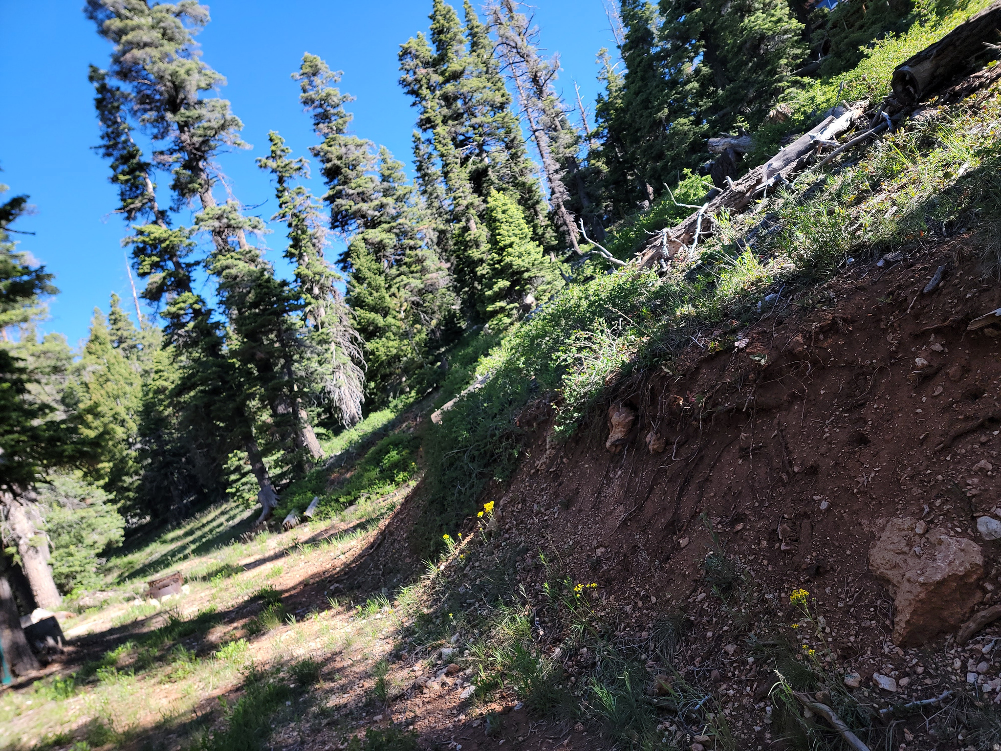 main property photo 11