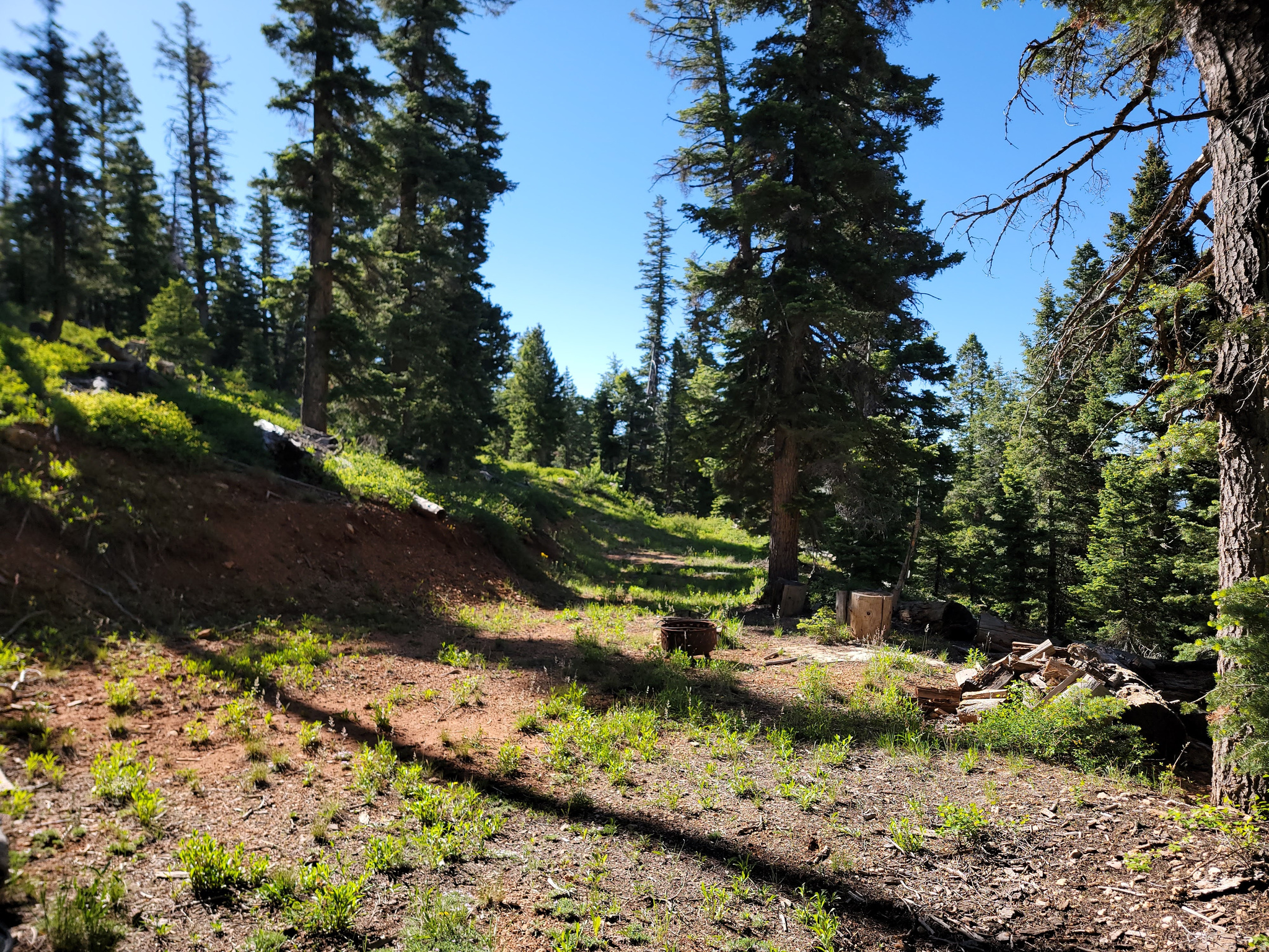 main property photo 15