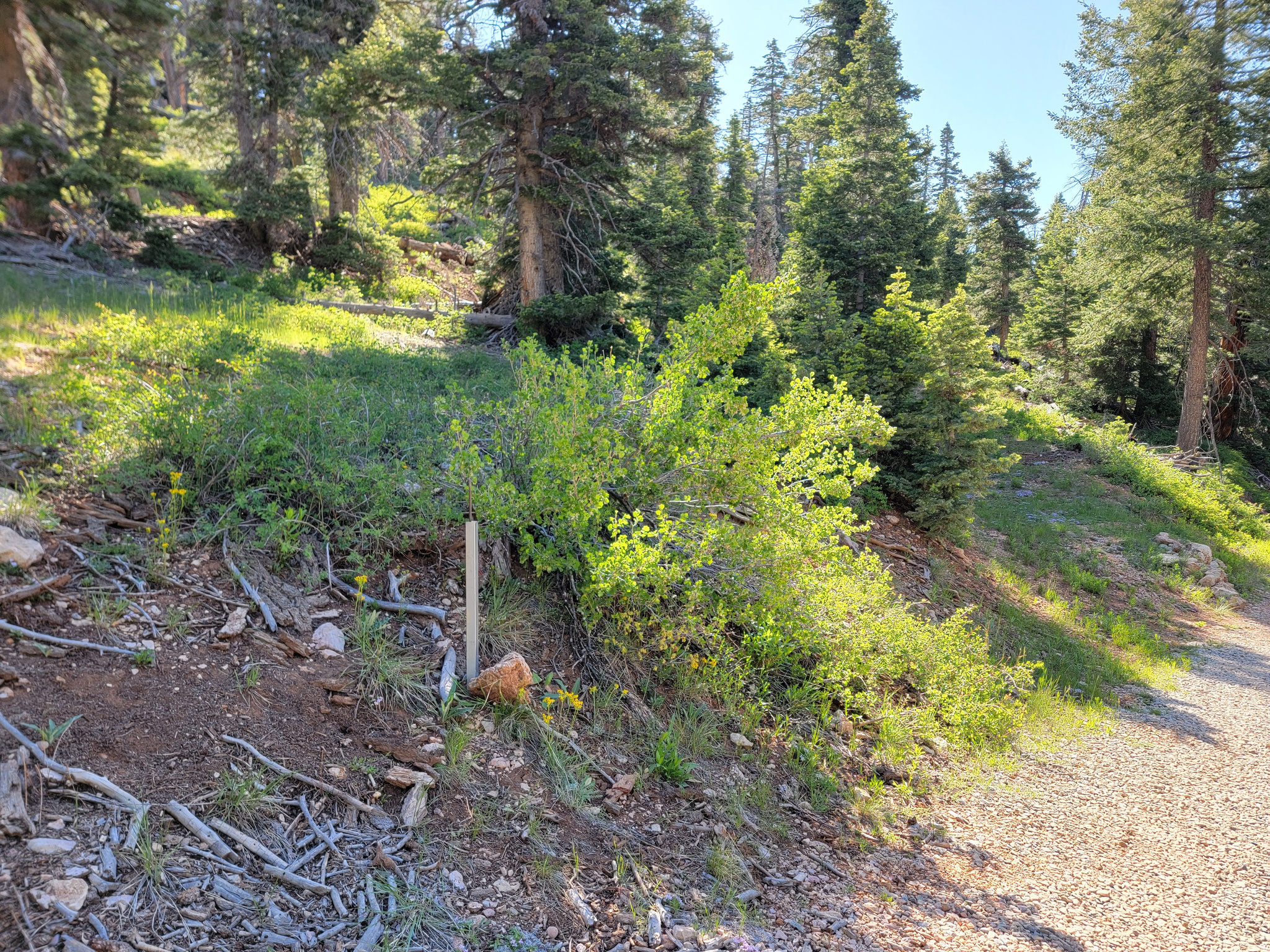 main property photo 20