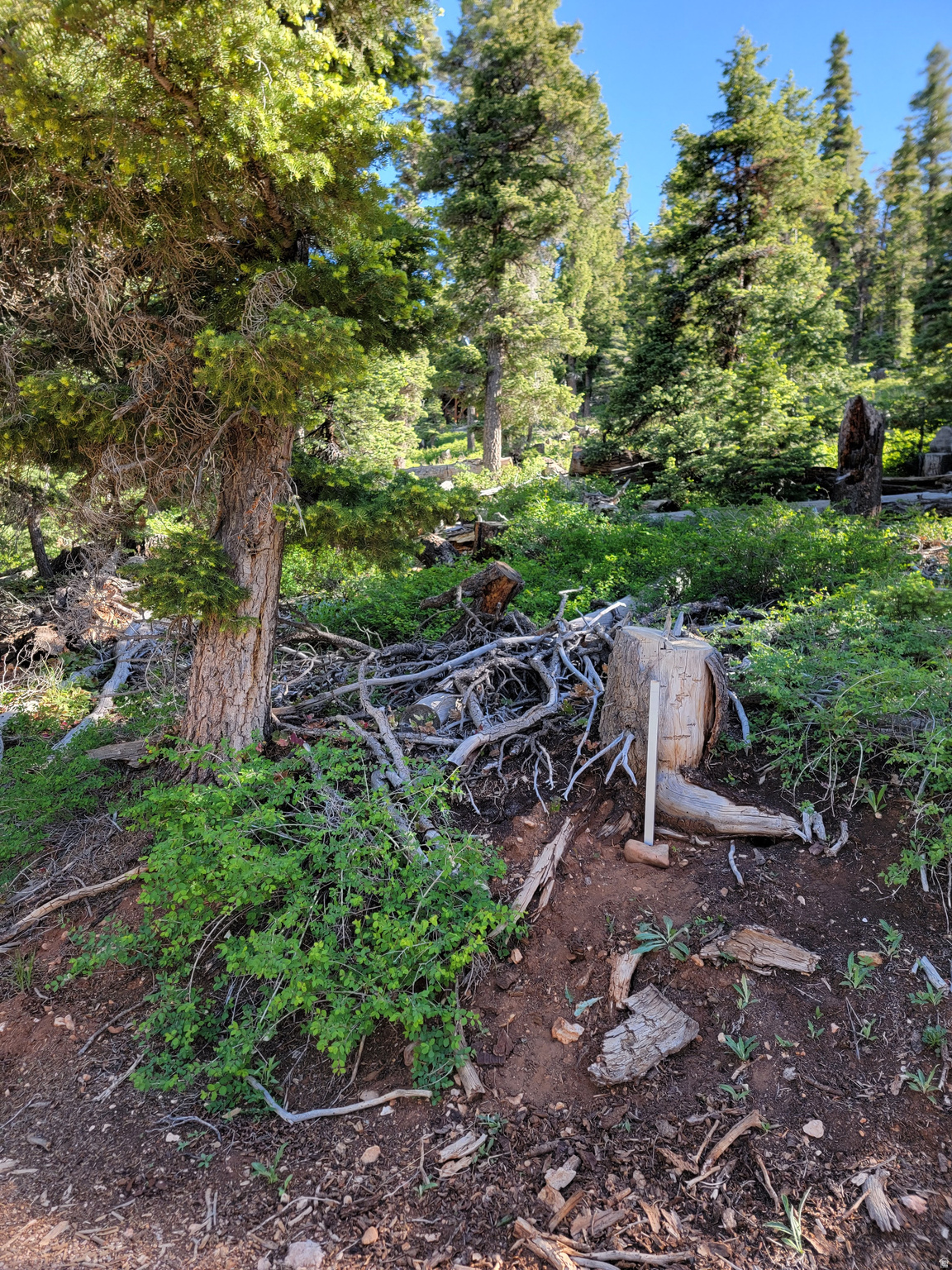 main property photo 22