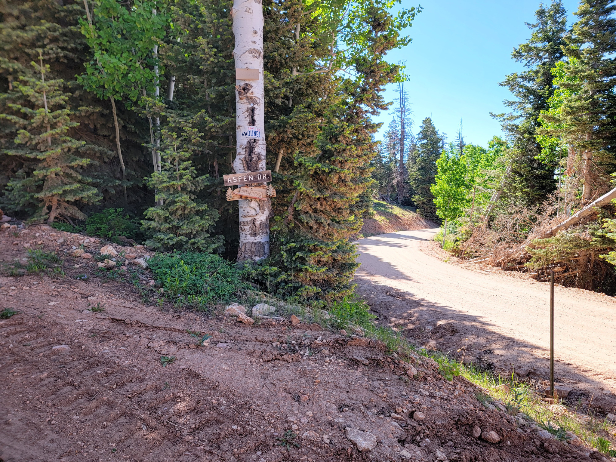 main property photo 25