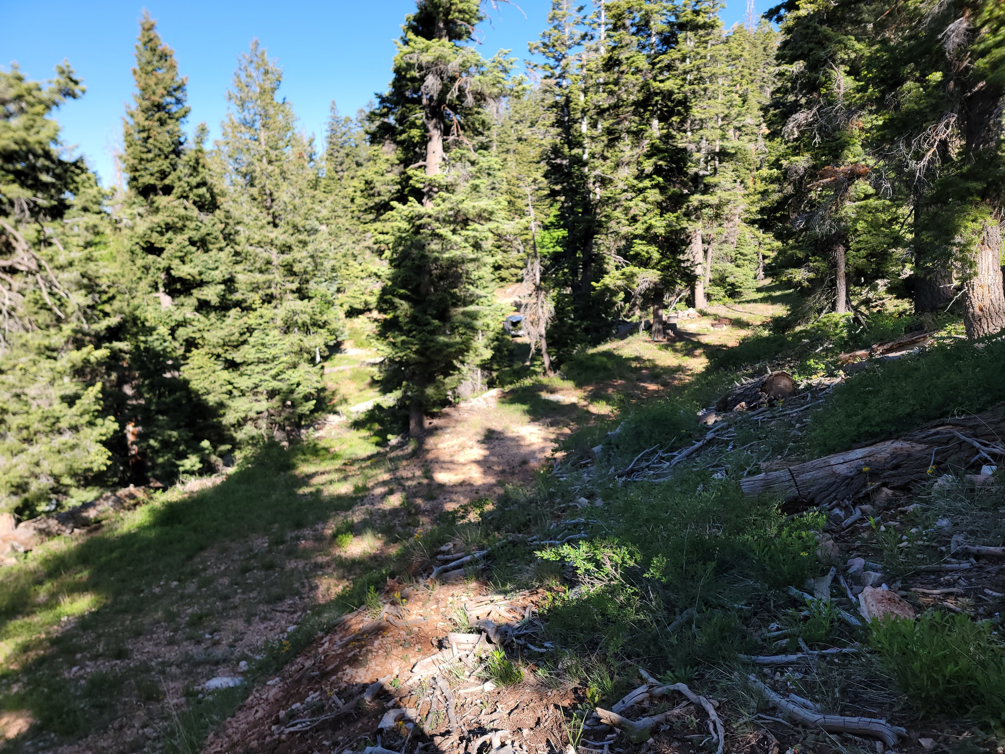 main property photo 6