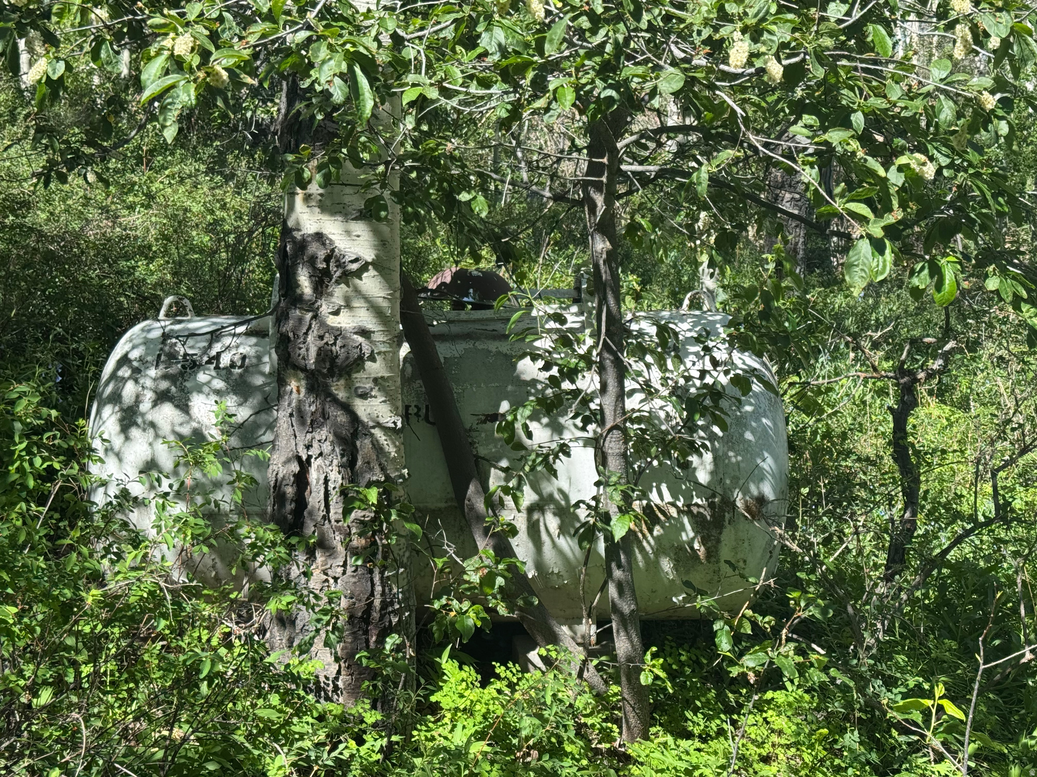 main property photo 47