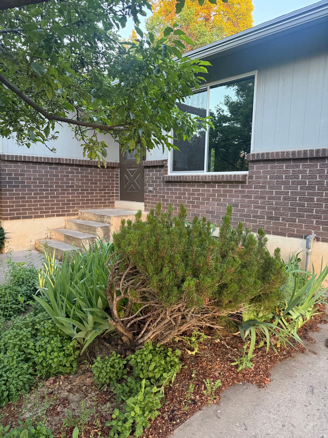 main property photo 8