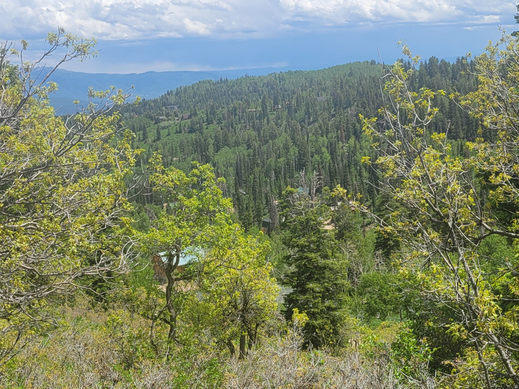 main property photo 7