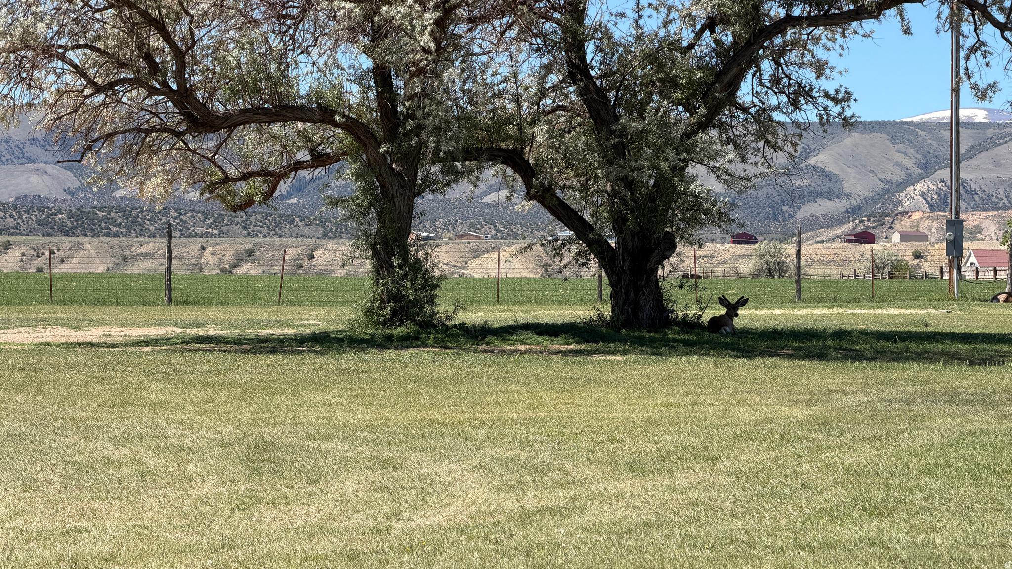 main property photo 65