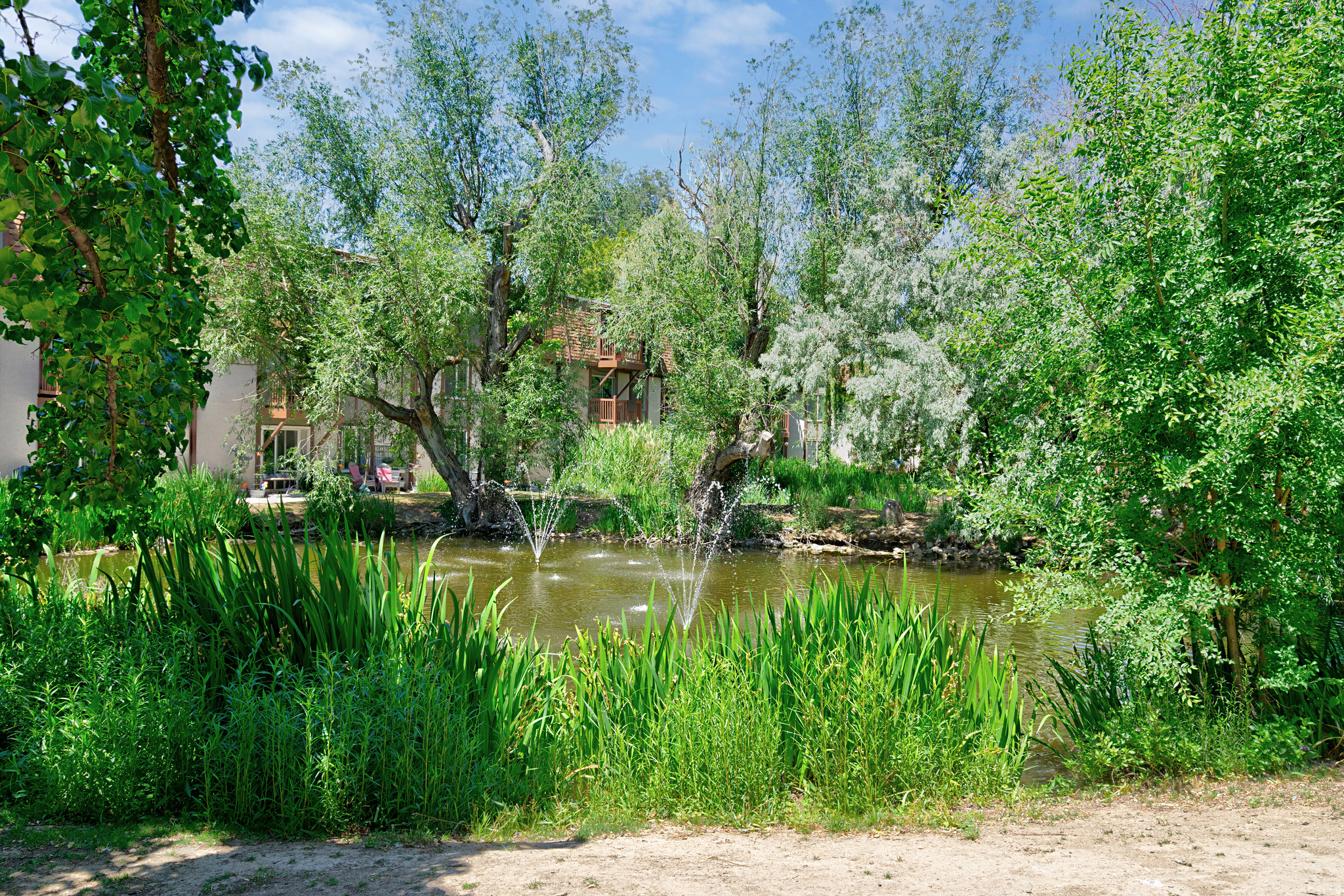 main property photo 22