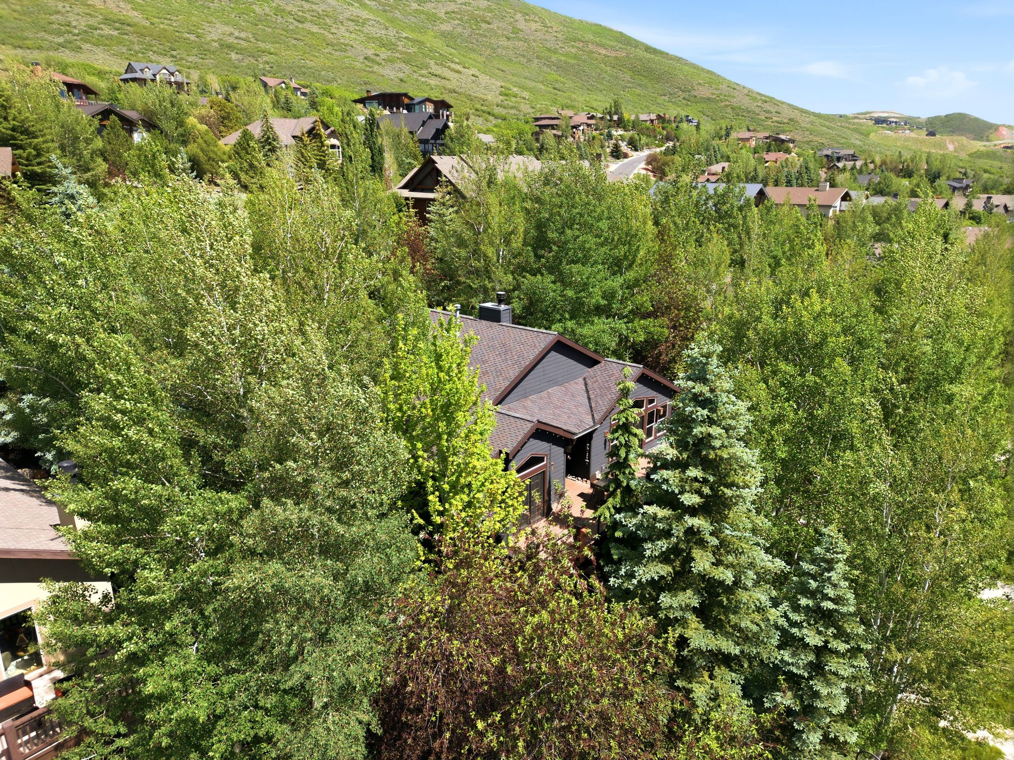 main property photo 54