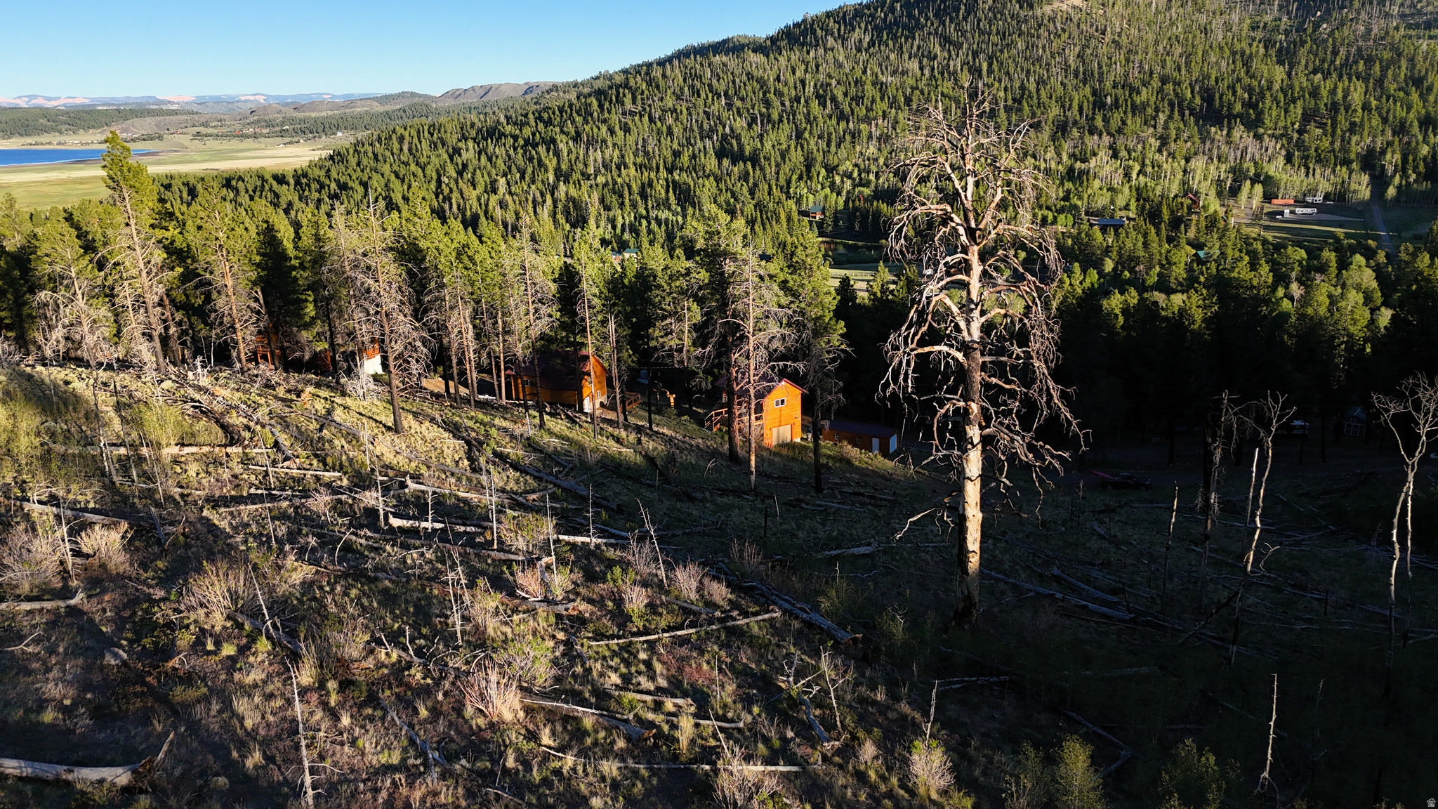 main property photo 39