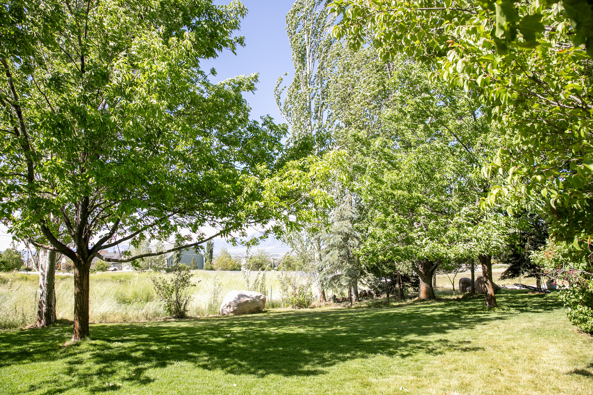main property photo 56