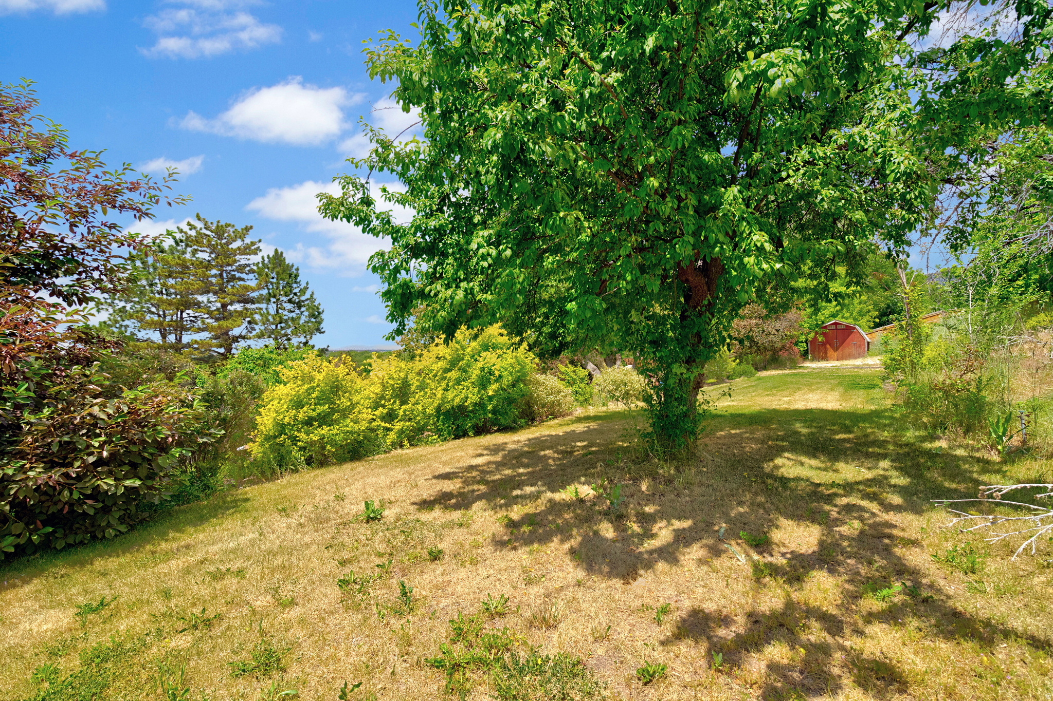 main property photo 47