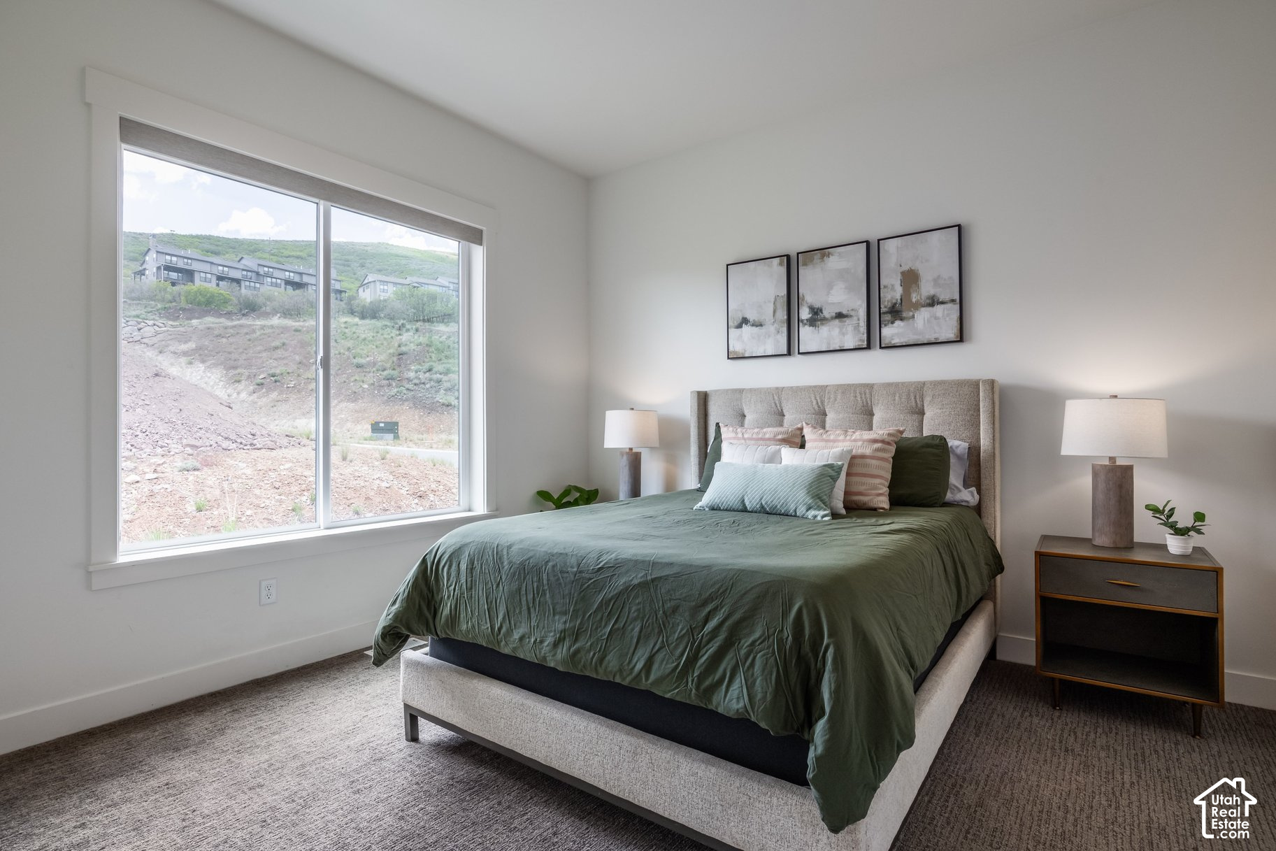main property photo 62