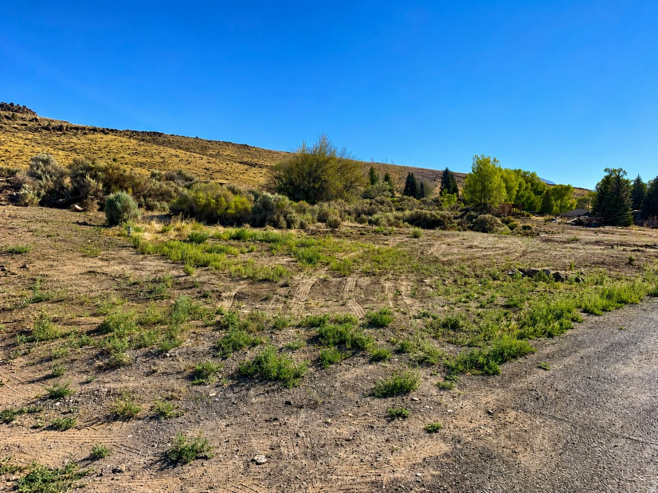 main property photo 119